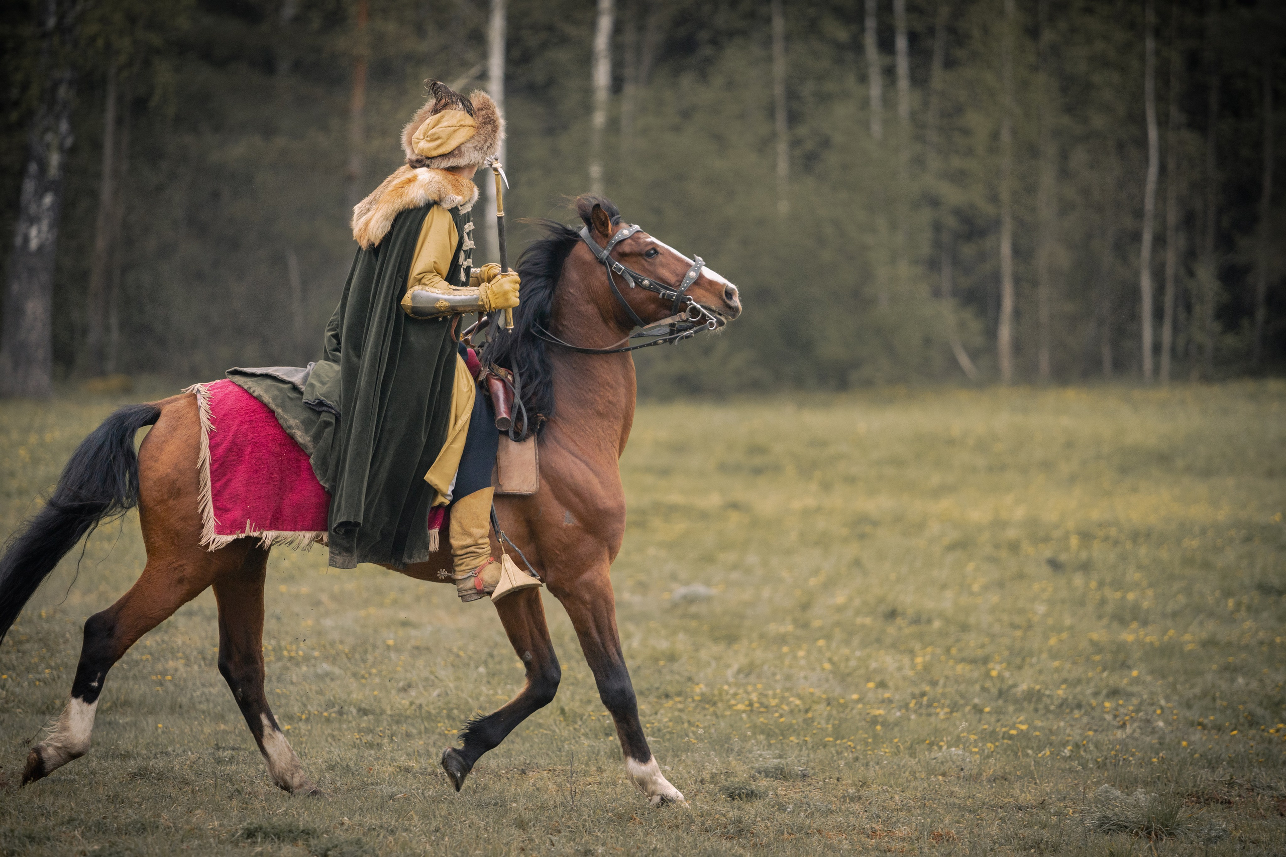 Золотая шпора. Огнем и мечем. День третий. Бой на поле. Профессиональный интерьерный и репортажный фотограф Минск и РБ. Максим Орлов
