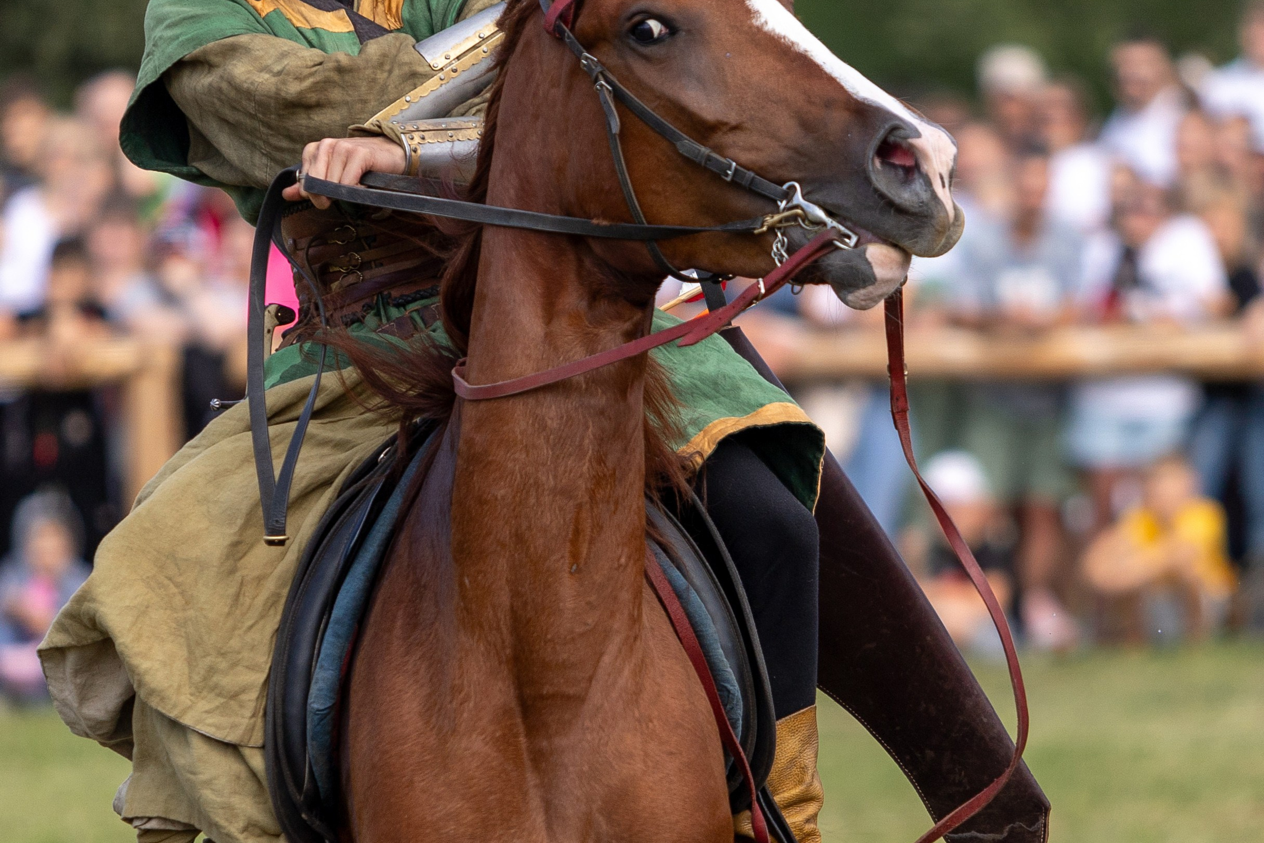 Рыцарский фест. Мстиславль. Профессиональный интерьерный и репортажный фотограф Минск и РБ. Максим Орлов