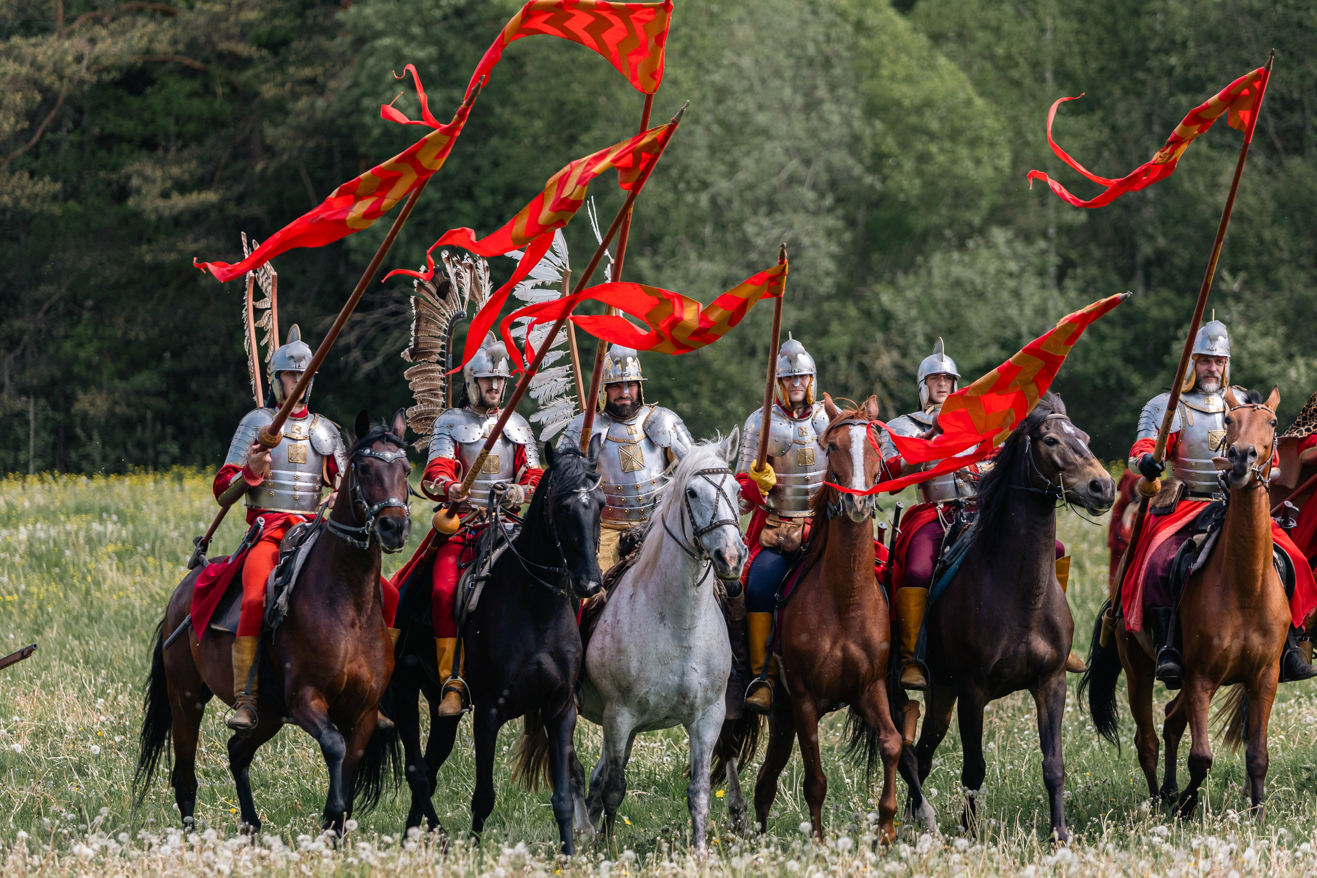 Золотая шпора. Маневры 17 века. Профессиональный интерьерный и репортажный фотограф Минск и РБ. Максим Орлов