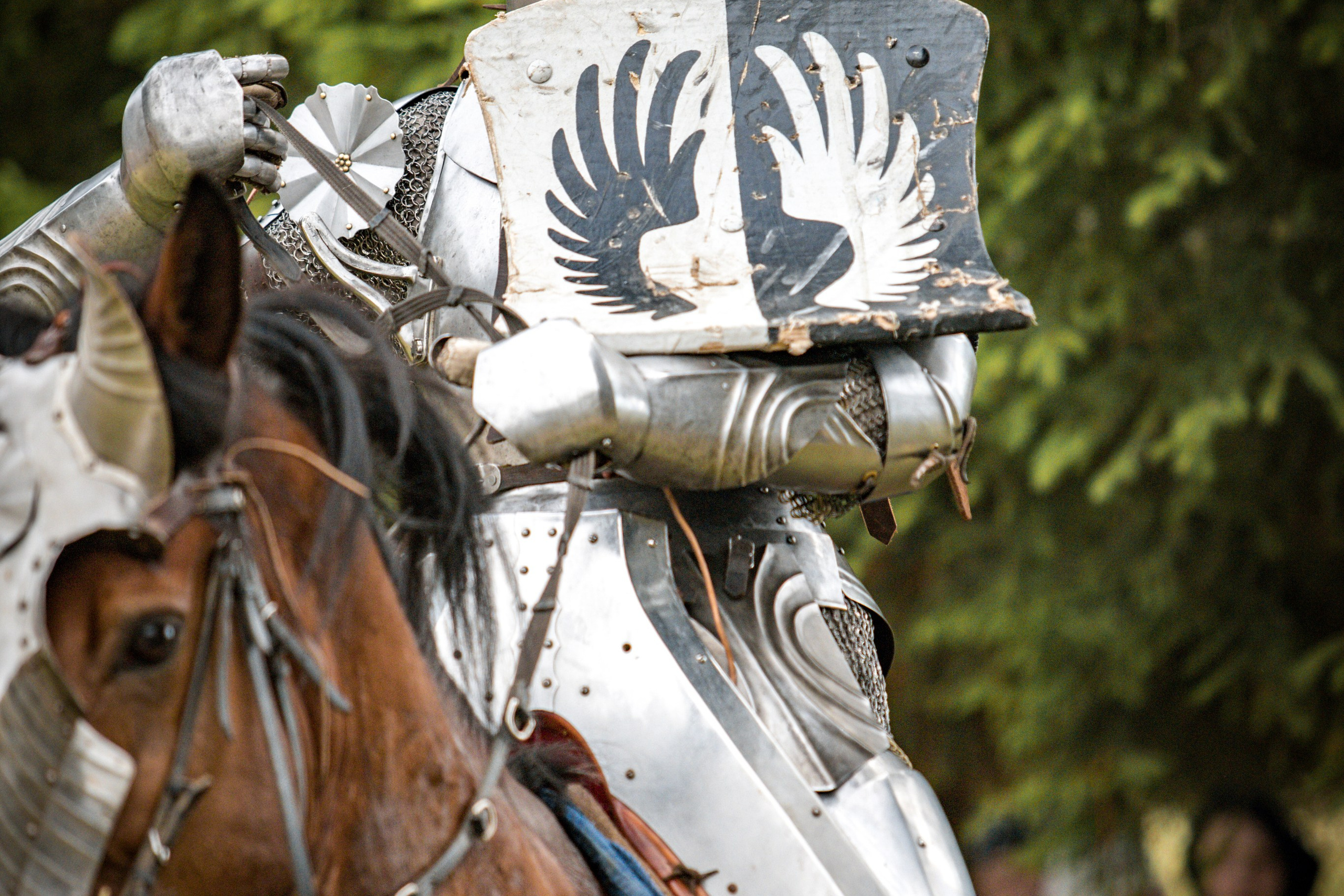 Наш Грюнвальд 2025. Рыцарский турнир. Профессиональный интерьерный и репортажный фотограф Минск и РБ. Максим Орлов