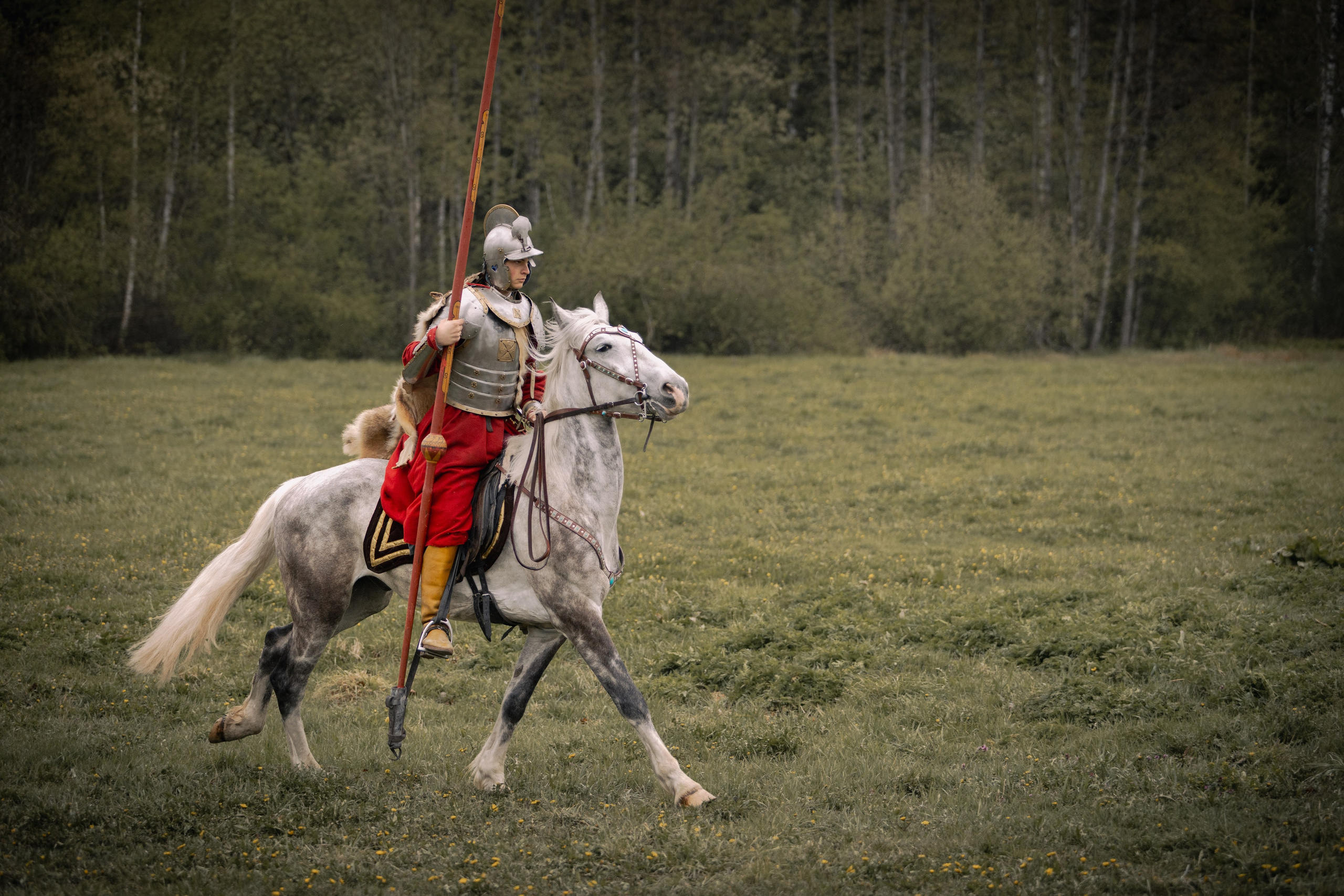 Золотая шпора. Огнем и мечем. День третий. Бой на поле. Профессиональный интерьерный и репортажный фотограф Минск и РБ. Максим Орлов