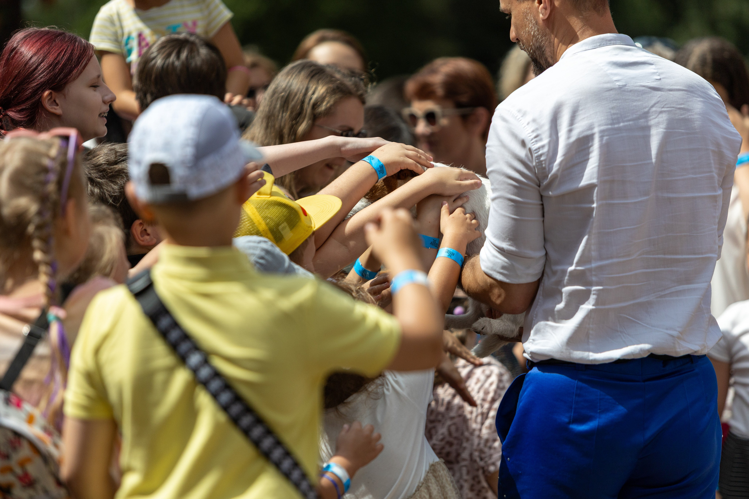 Детифест. Профессиональный интерьерный и репортажный фотограф Минск и РБ. Максим Орлов