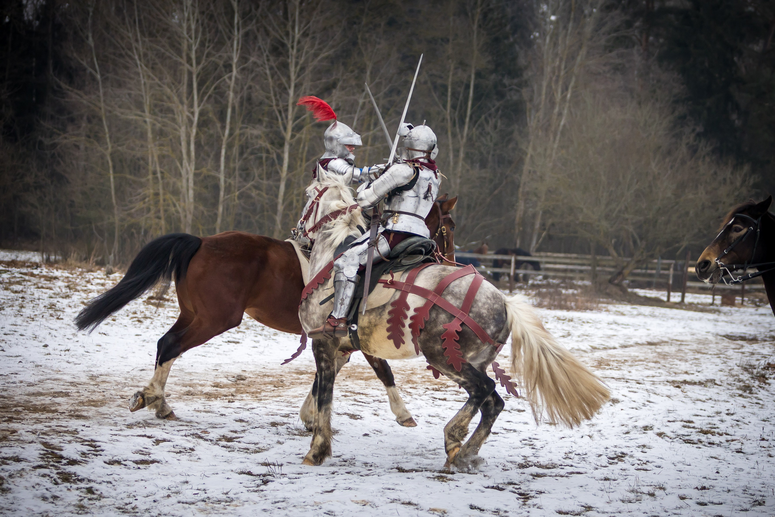 Зимние маневры «Золотой шпоры». 2025. Профессиональный интерьерный и репортажный фотограф Минск и РБ. Максим Орлов