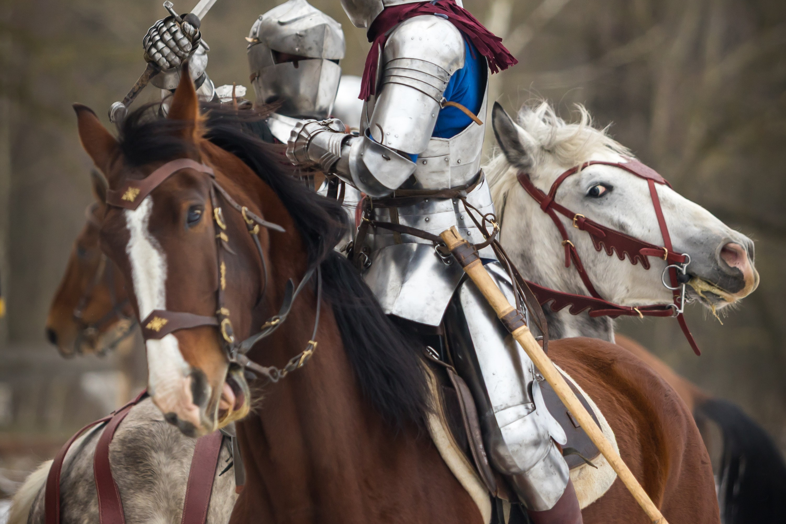 Зимние маневры «Золотой шпоры». 2025. Профессиональный интерьерный и репортажный фотограф Минск и РБ. Максим Орлов