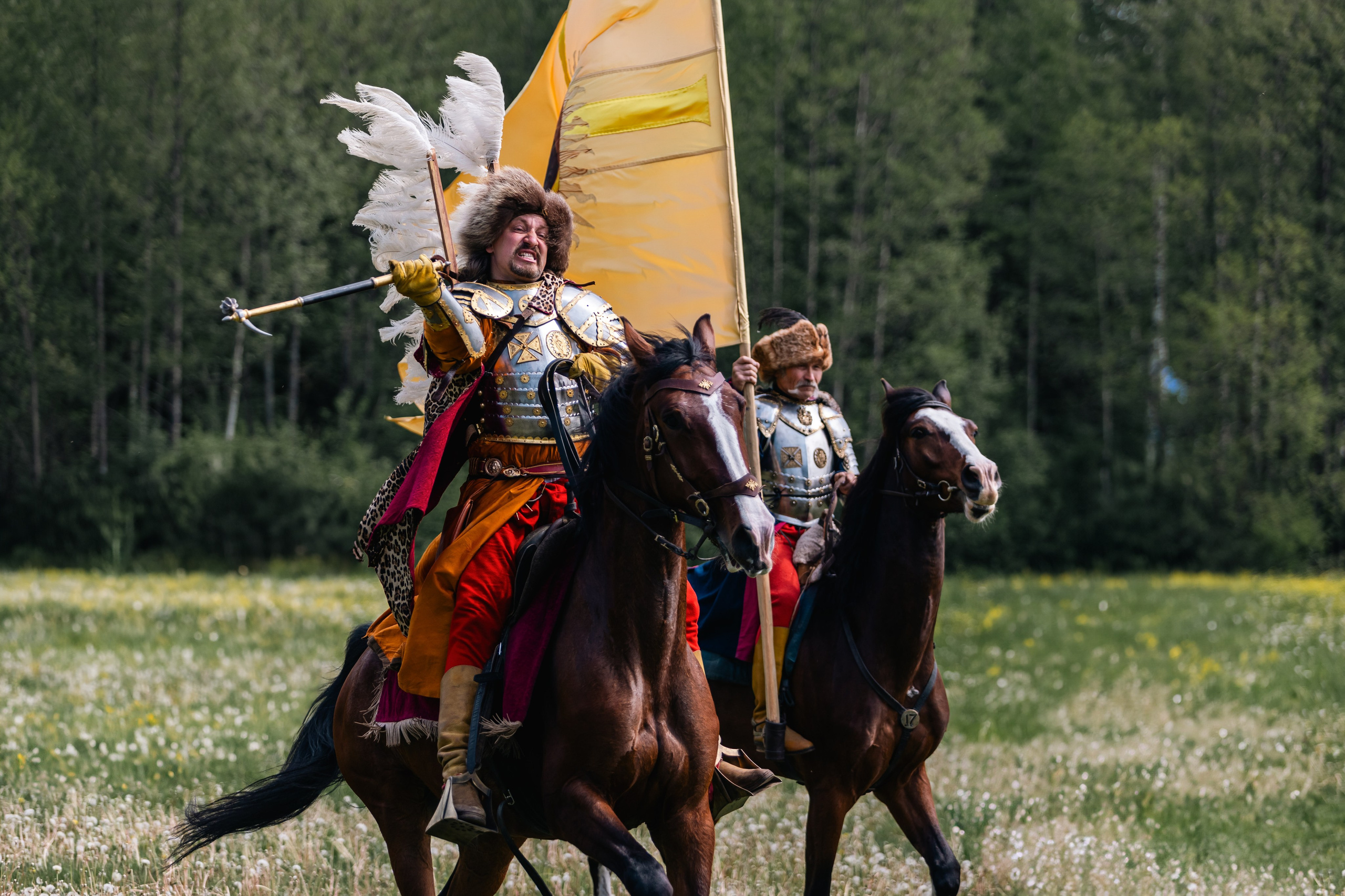 Золотая шпора. Маневры 17 века. Профессиональный интерьерный и репортажный фотограф Минск и РБ. Максим Орлов