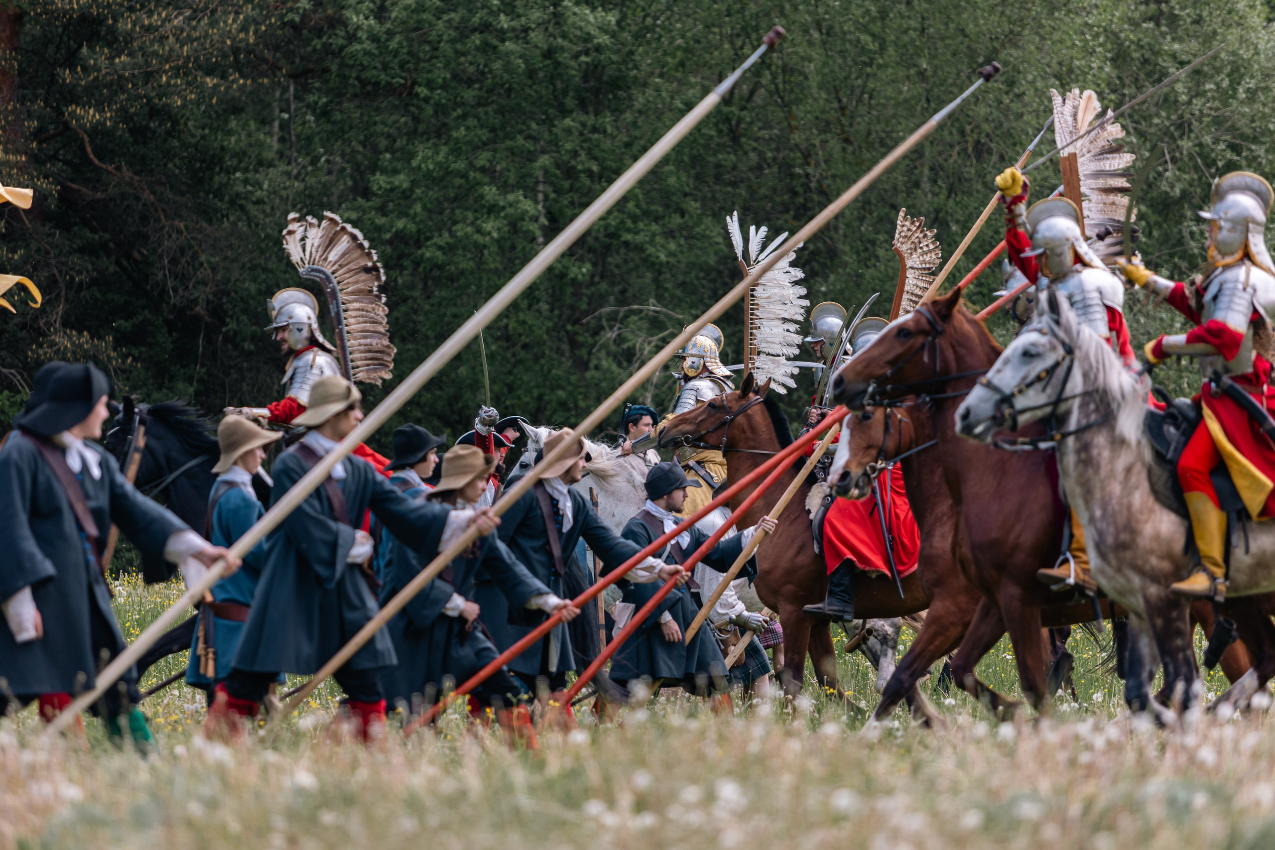 Золотая шпора. Маневры 17 века. Профессиональный интерьерный и репортажный фотограф Минск и РБ. Максим Орлов