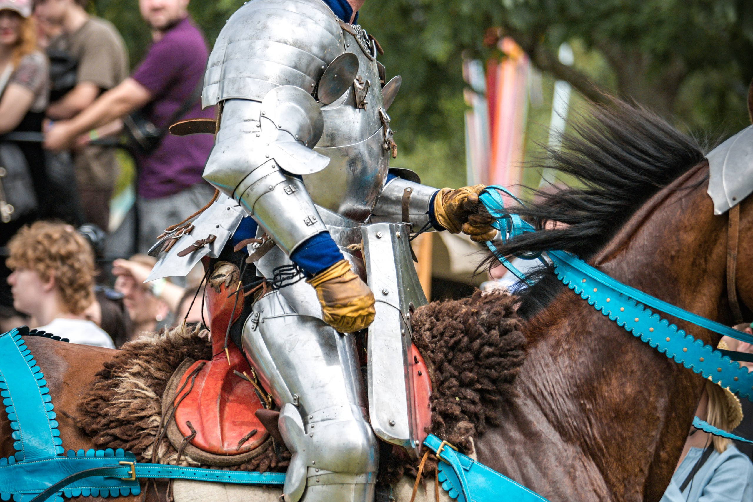 Наш Грюнвальд 2025. Рыцарский турнир. Профессиональный интерьерный и репортажный фотограф Минск и РБ. Максим Орлов