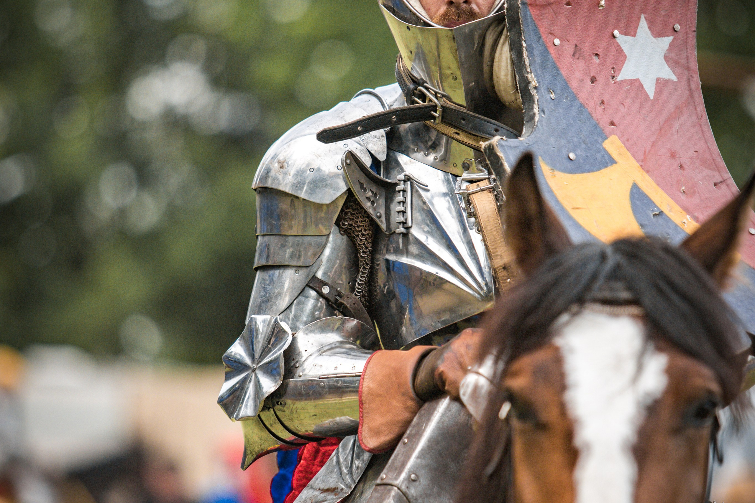 Наш Грюнвальд 2025. Рыцарский турнир. Профессиональный интерьерный и репортажный фотограф Минск и РБ. Максим Орлов