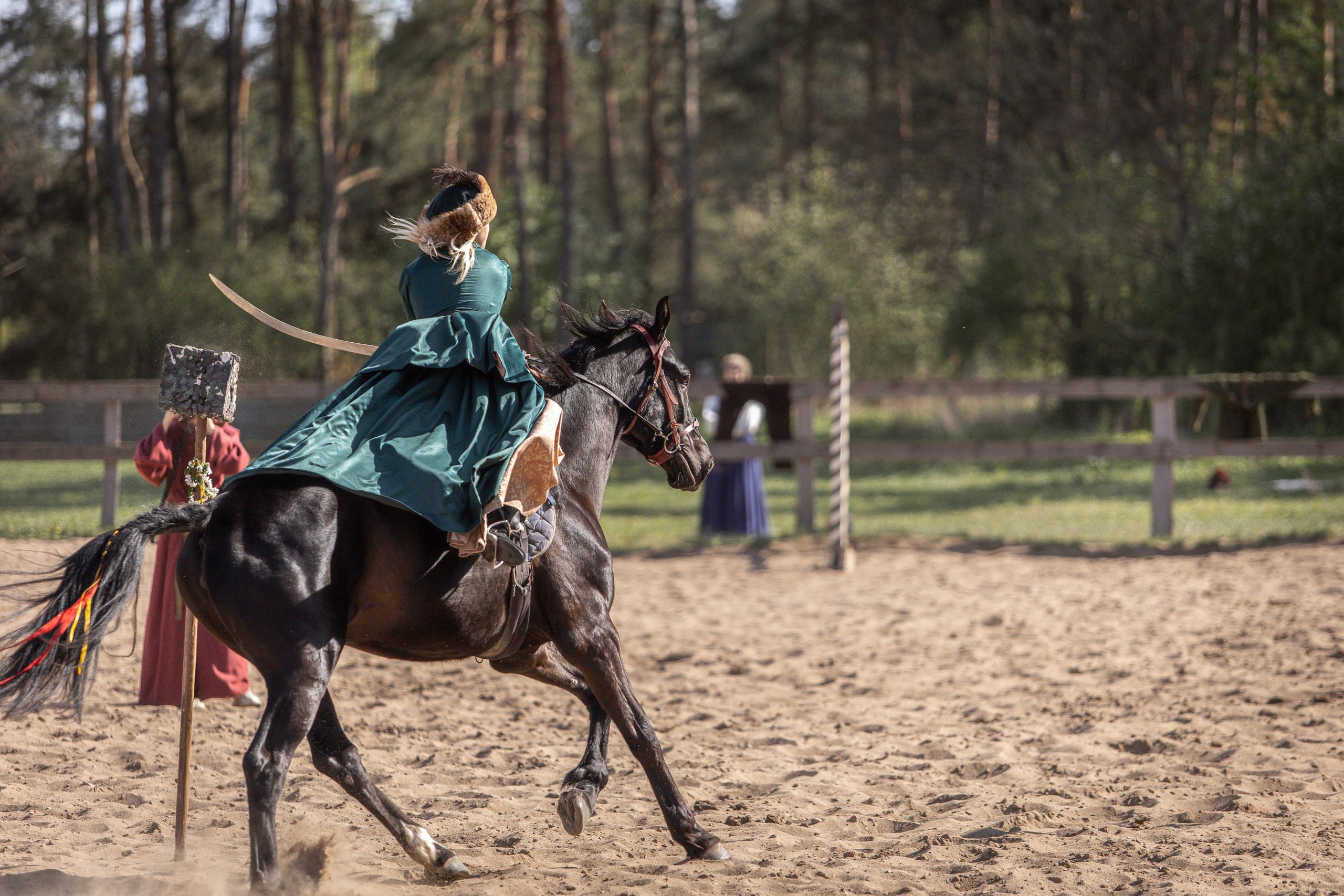 Золотая Шпора. Огнем и Мечем. День первый. Рыцарский турнир. Профессиональный интерьерный и репортажный фотограф Минск и РБ. Максим Орлов