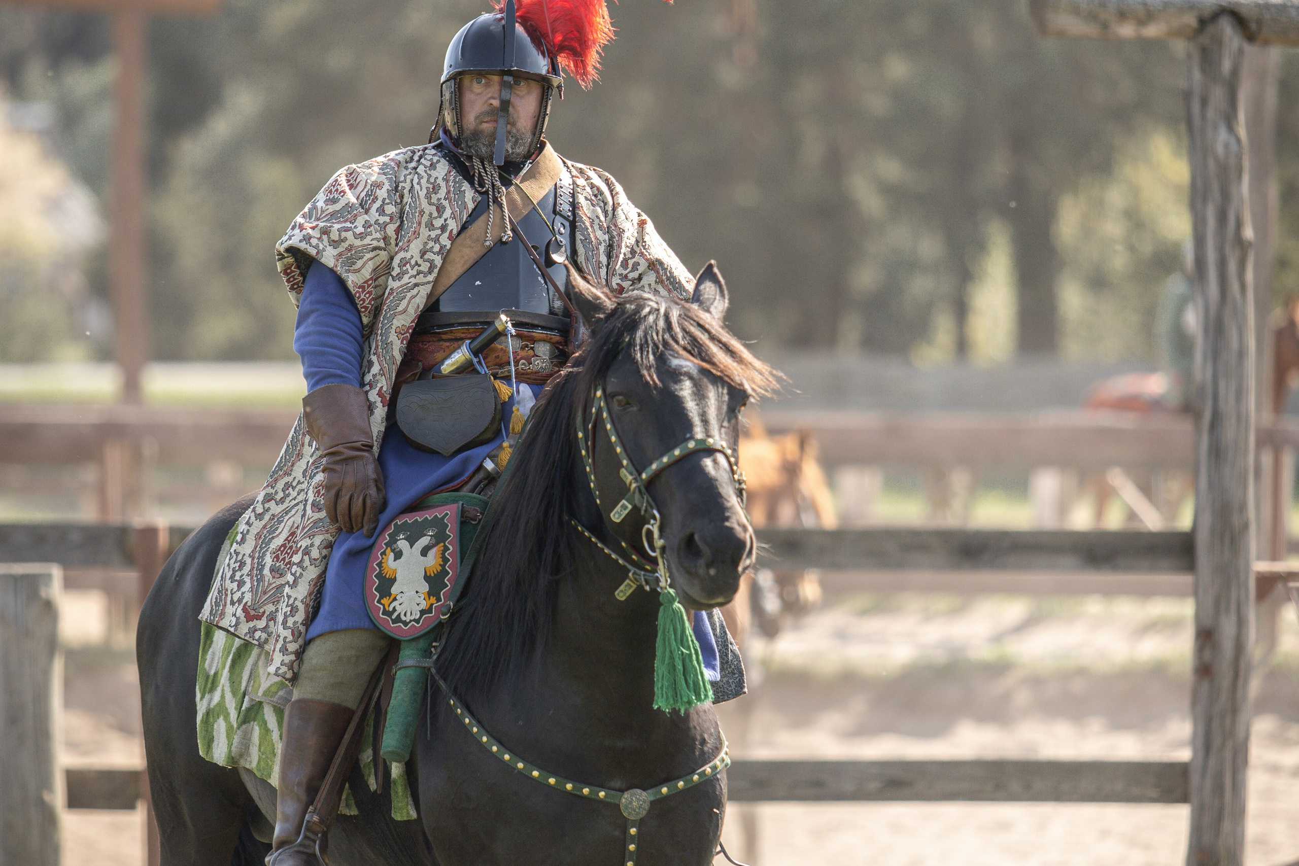 Золотая Шпора. Огнем и Мечем. День первый. Рыцарский турнир. Профессиональный интерьерный и репортажный фотограф Минск и РБ. Максим Орлов