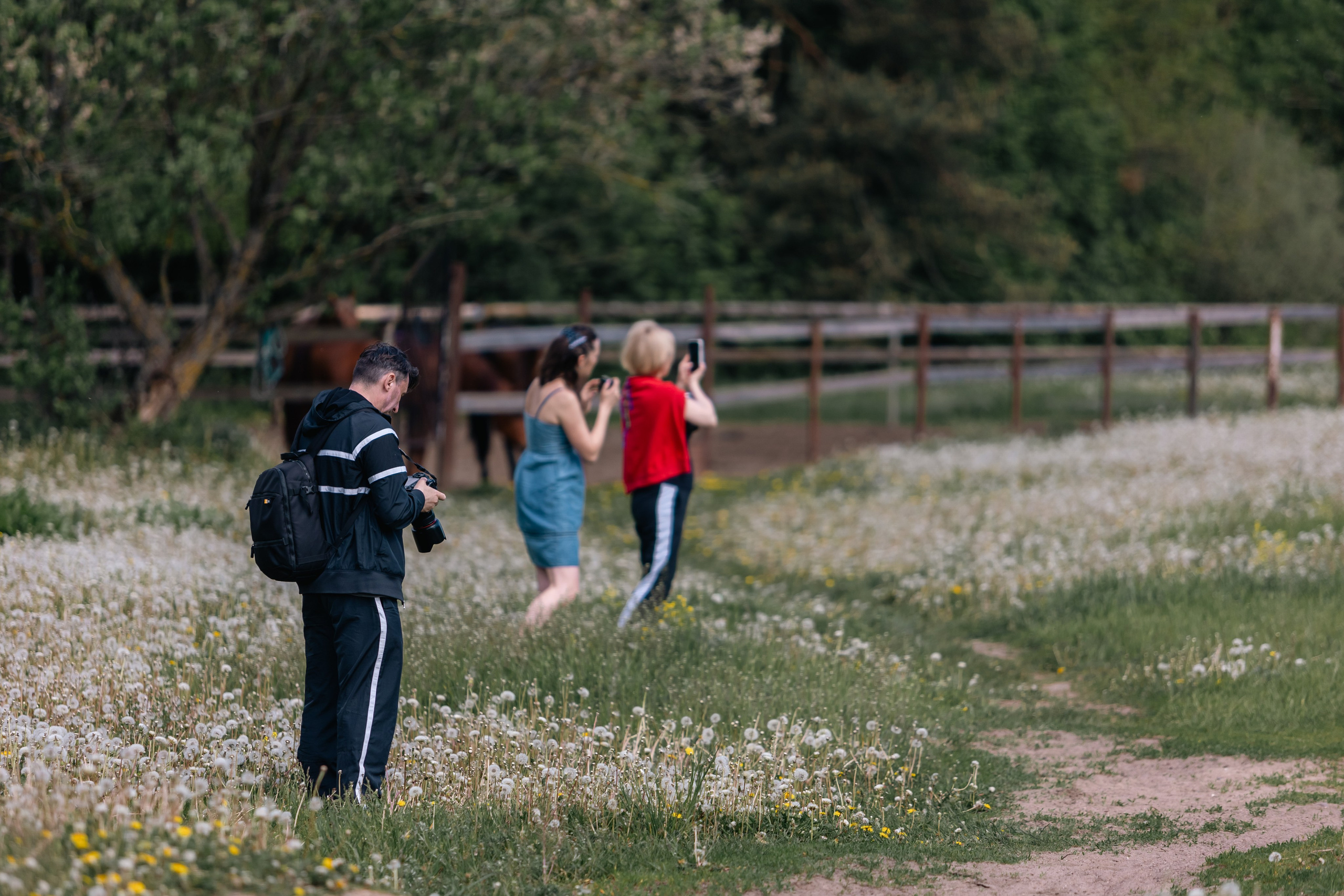 Золотая шпора. Маневры 17 века. Профессиональный интерьерный и репортажный фотограф Минск и РБ. Максим Орлов