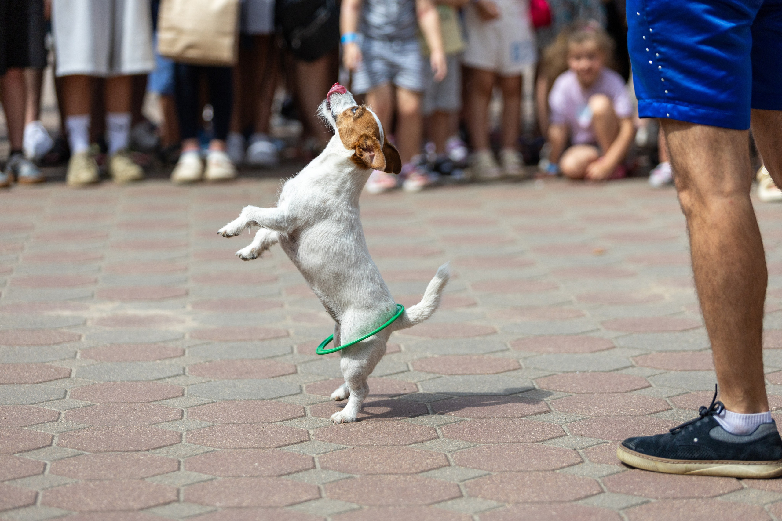 Детифест. Профессиональный интерьерный и репортажный фотограф Минск и РБ. Максим Орлов