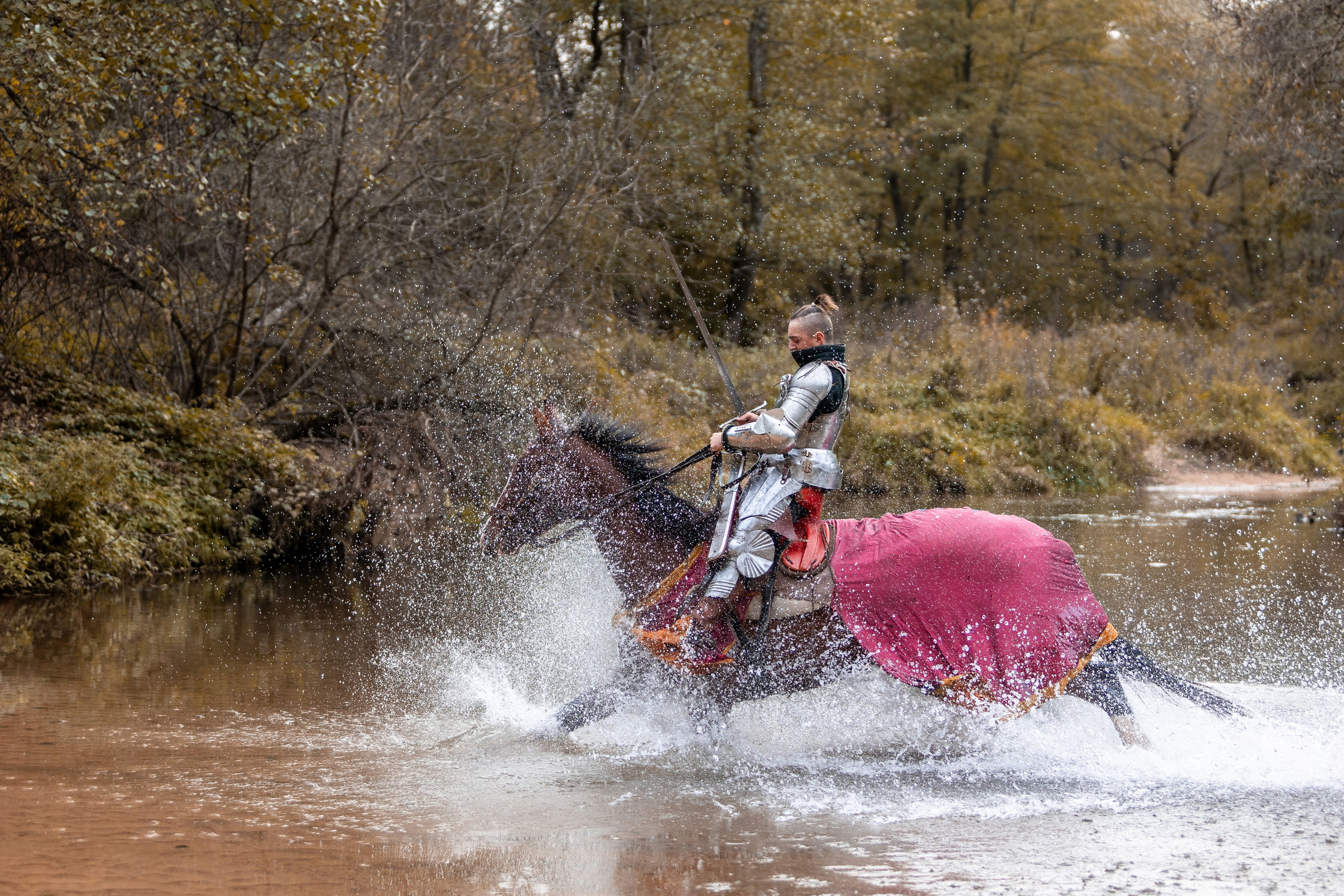 Рыцарская с Афиной. Дима Теслик. Профессиональный интерьерный и репортажный фотограф Минск и РБ. Максим Орлов
