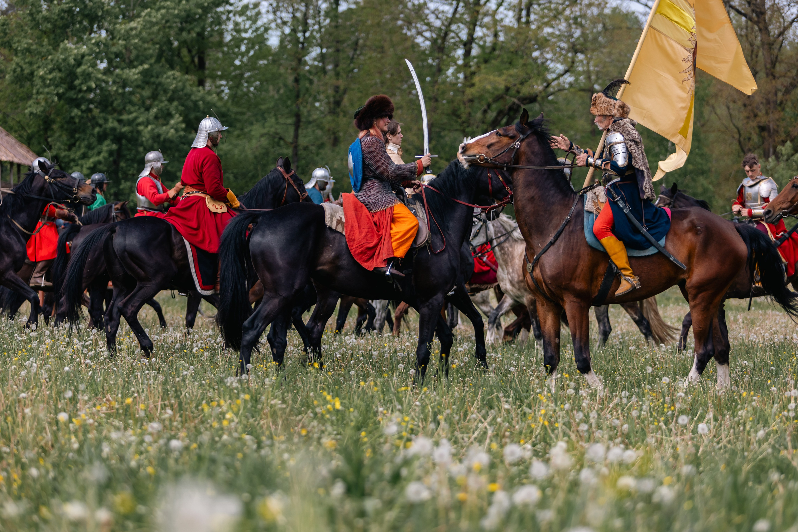 Золотая шпора. Маневры 17 века. Профессиональный интерьерный и репортажный фотограф Минск и РБ. Максим Орлов
