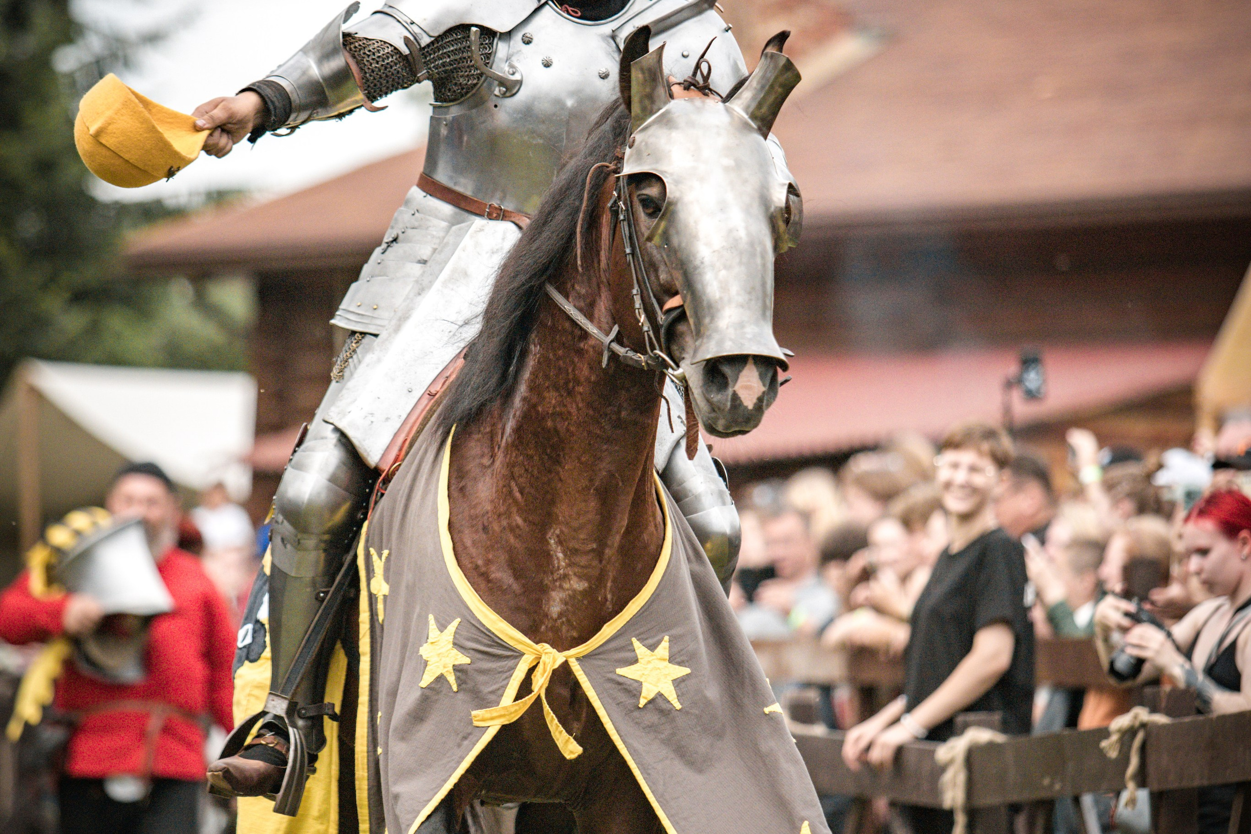 Наш Грюнвальд 2025. Рыцарский турнир. Профессиональный интерьерный и репортажный фотограф Минск и РБ. Максим Орлов