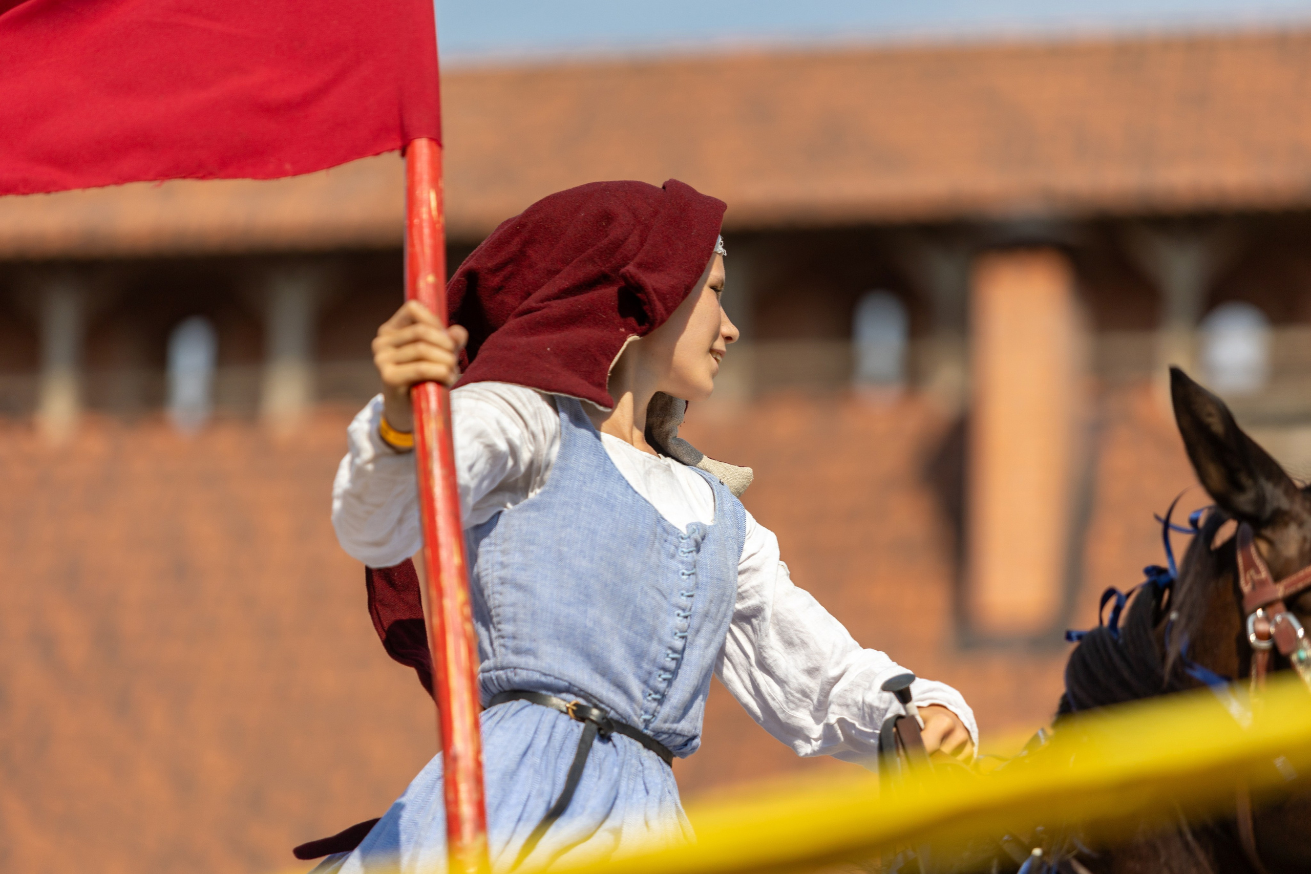 Выступление «Золотой шпоры» на празднике города Лиды. Профессиональный интерьерный и репортажный фотограф Минск и РБ. Максим Орлов