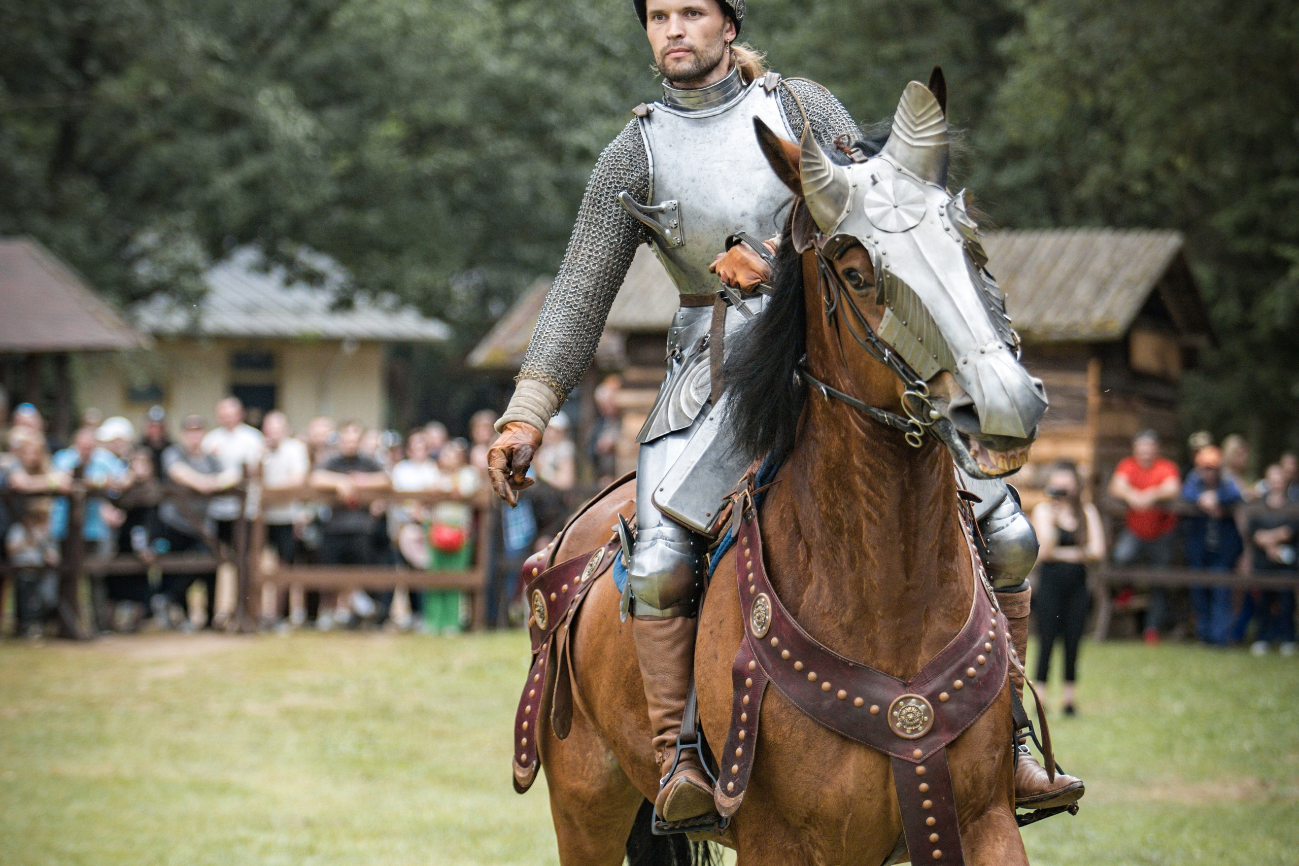 Наш Грюнвальд 2025. Рыцарский турнир. Профессиональный интерьерный и репортажный фотограф Минск и РБ. Максим Орлов