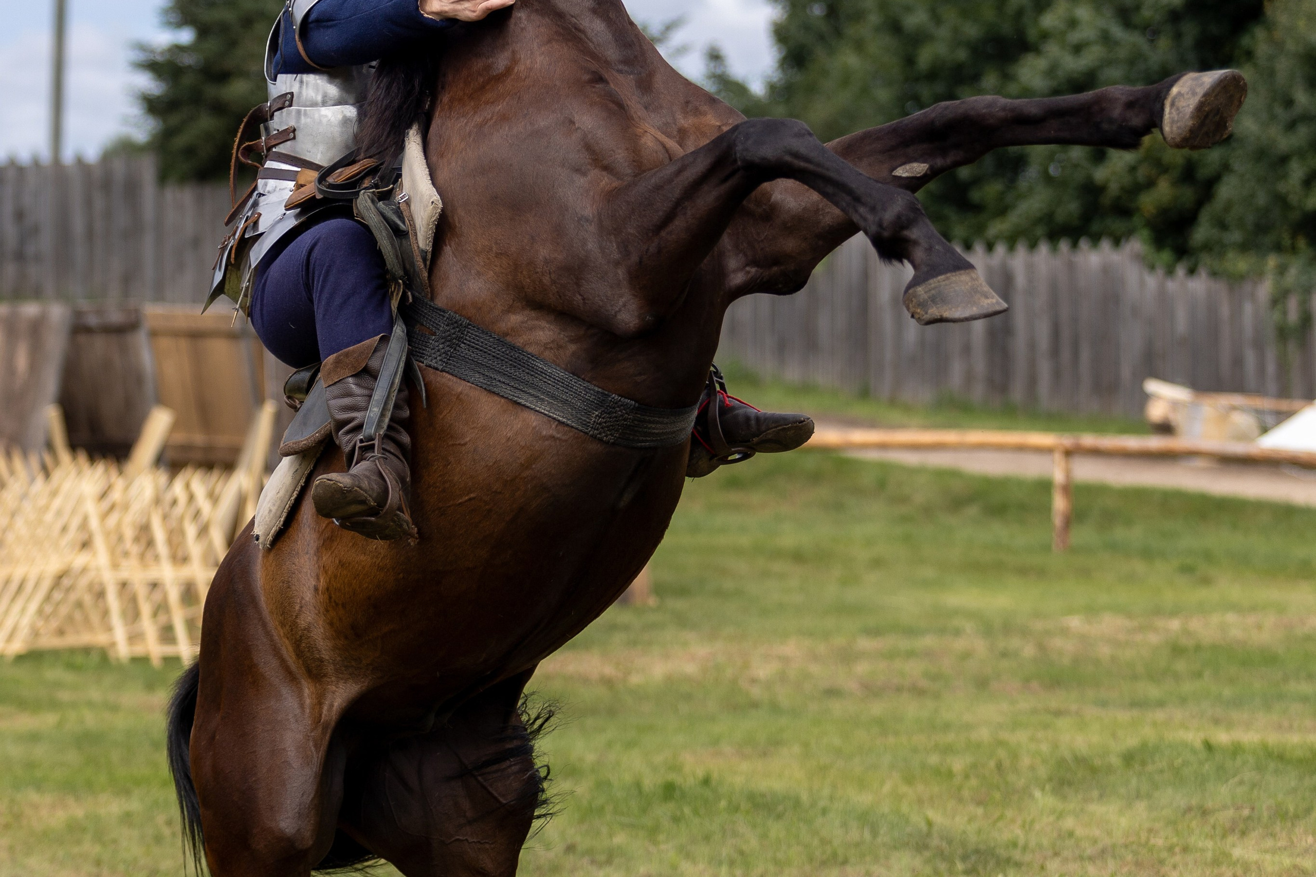 Рыцарский фест. Мстиславль. Профессиональный интерьерный и репортажный фотограф Минск и РБ. Максим Орлов