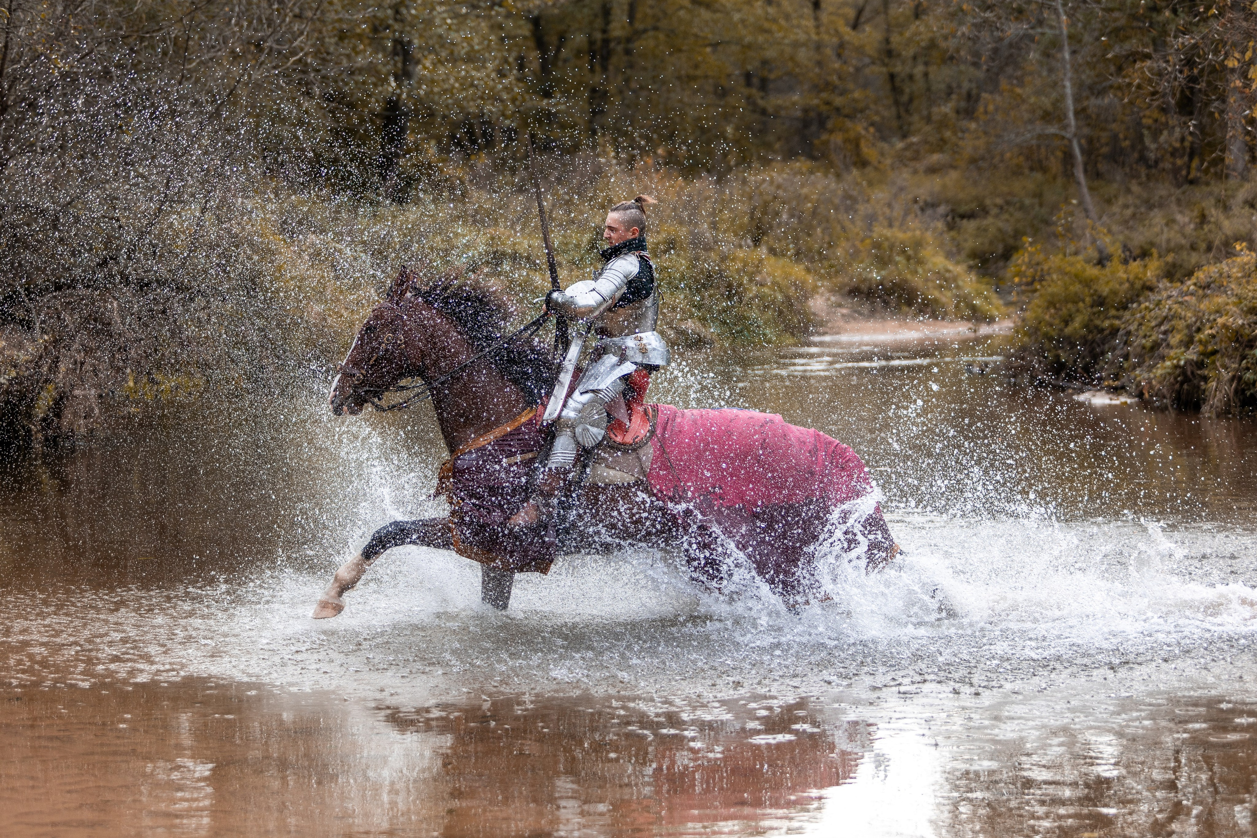 Рыцарская с Афиной. Дима Теслик. Профессиональный интерьерный и репортажный фотограф Минск и РБ. Максим Орлов