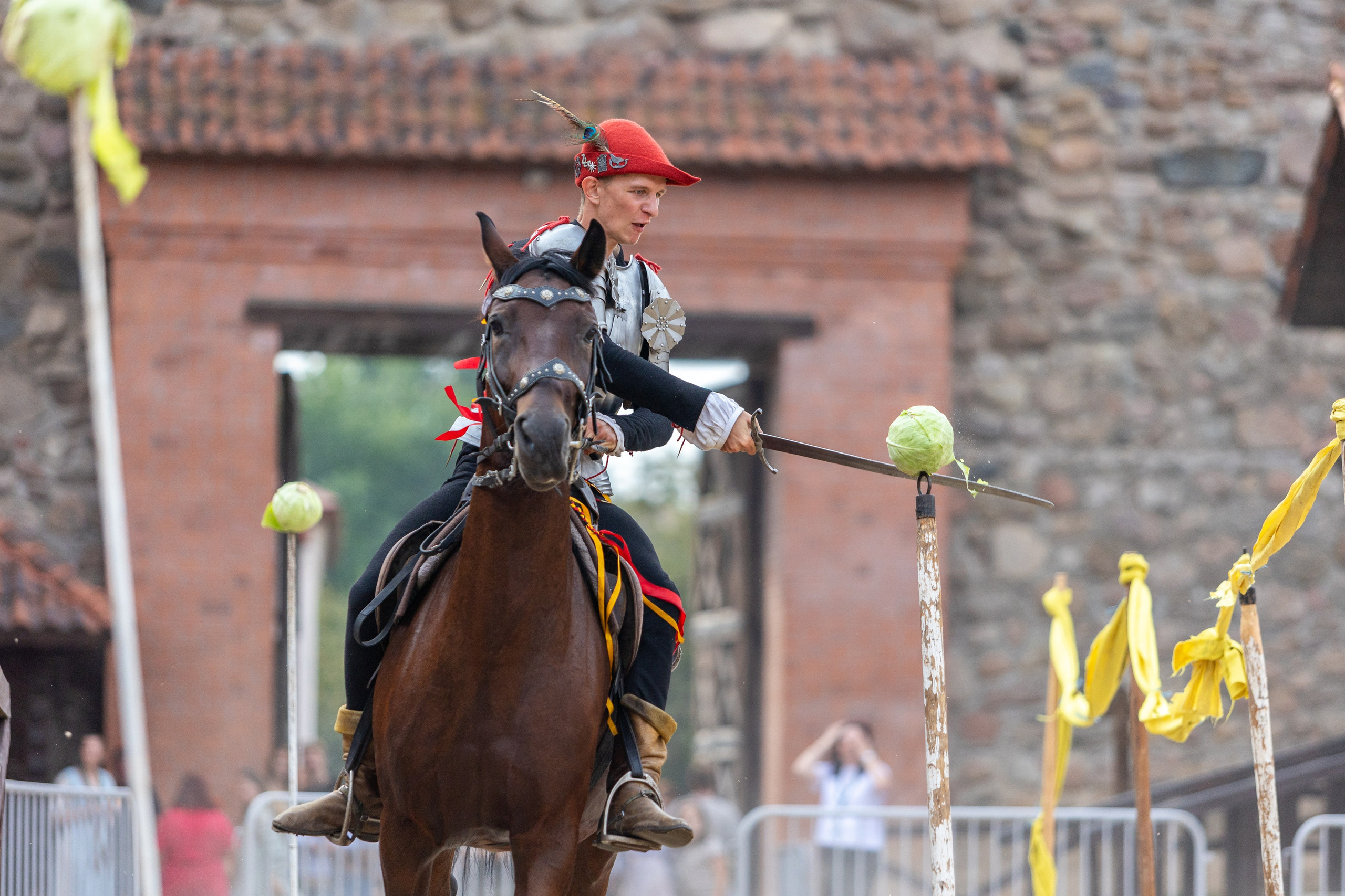 Выступление «Золотой шпоры» на празднике города Лиды. Профессиональный интерьерный и репортажный фотограф Минск и РБ. Максим Орлов