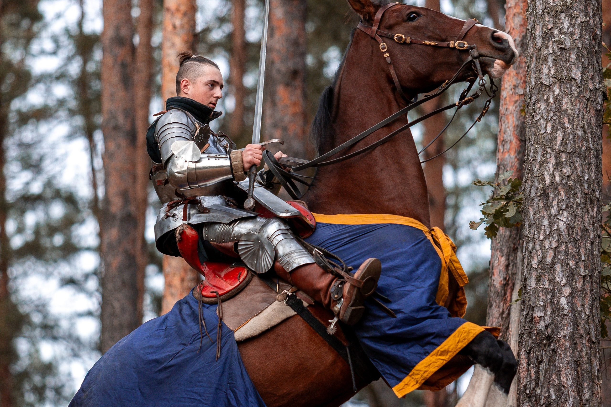 Рыцарская с Афиной. Дима Теслик. Профессиональный интерьерный и репортажный фотограф Минск и РБ. Максим Орлов