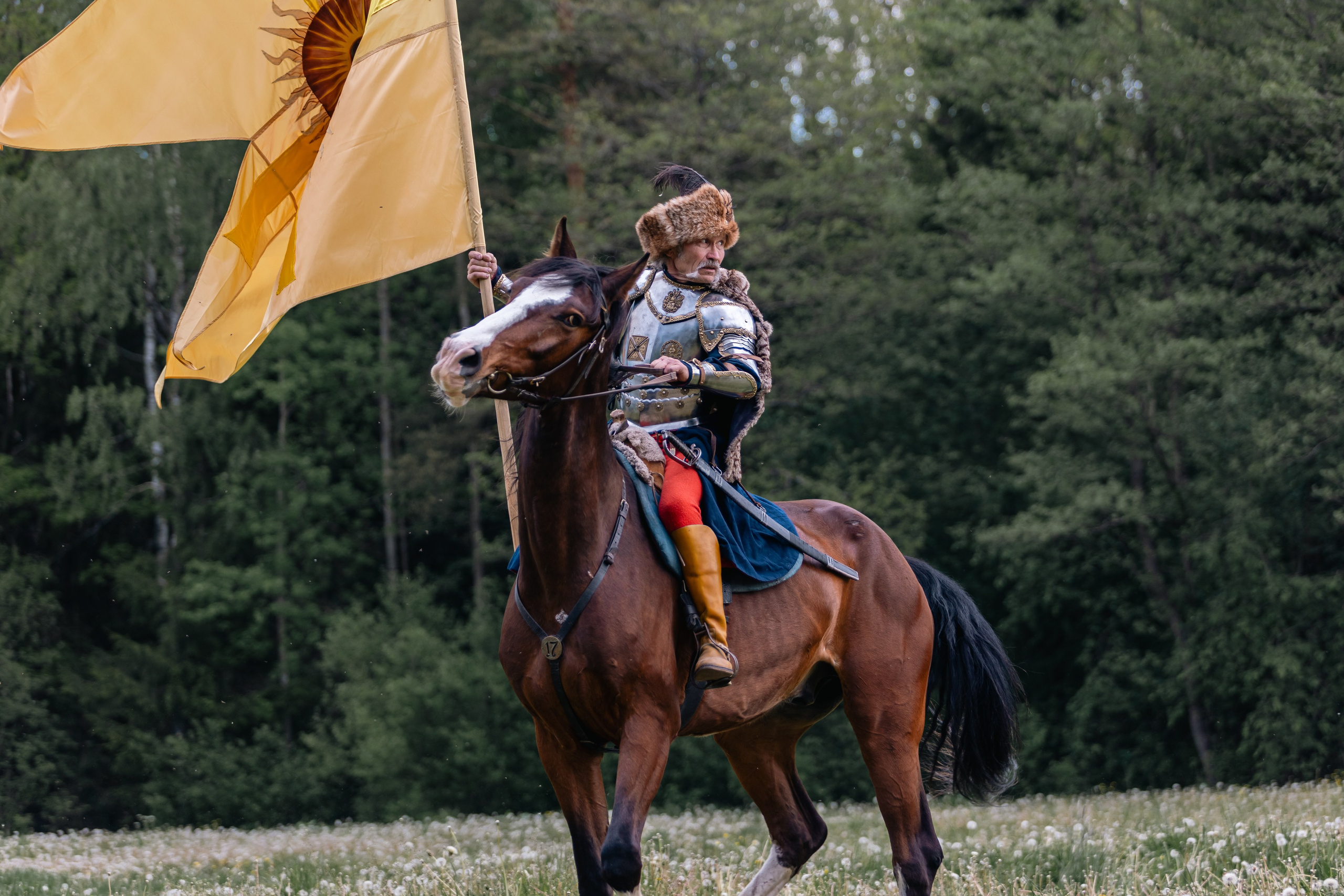 Золотая шпора. Маневры 17 века. Профессиональный интерьерный и репортажный фотограф Минск и РБ. Максим Орлов