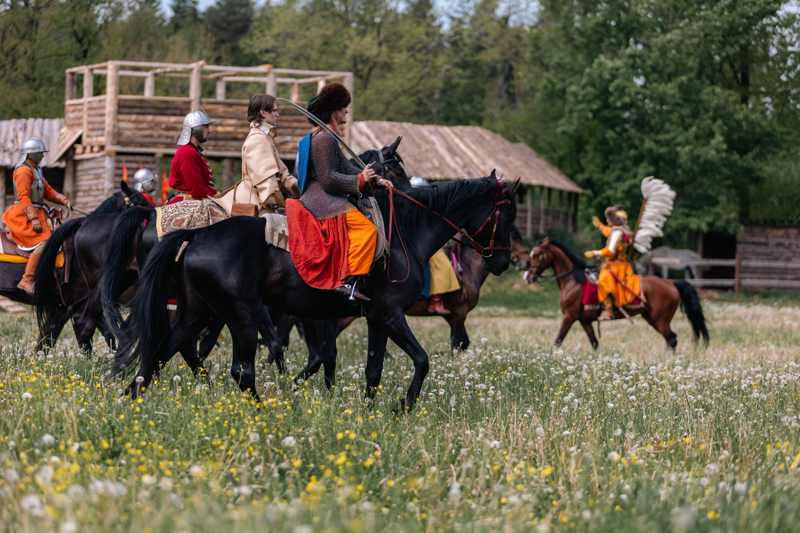 Золотая шпора. Маневры 17 века. Профессиональный интерьерный и репортажный фотограф Минск и РБ. Максим Орлов