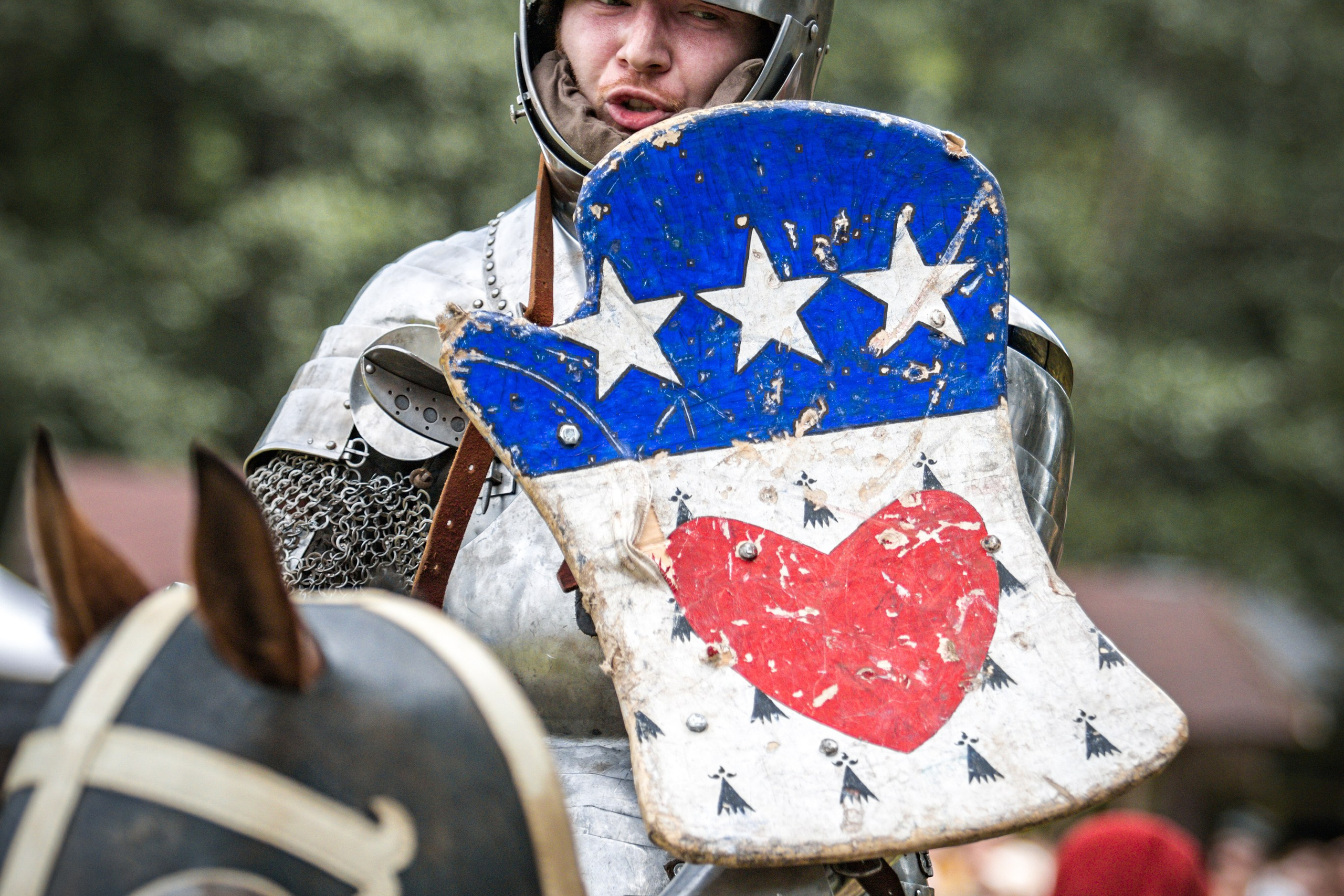 Наш Грюнвальд 2025. Рыцарский турнир. Профессиональный интерьерный и репортажный фотограф Минск и РБ. Максим Орлов