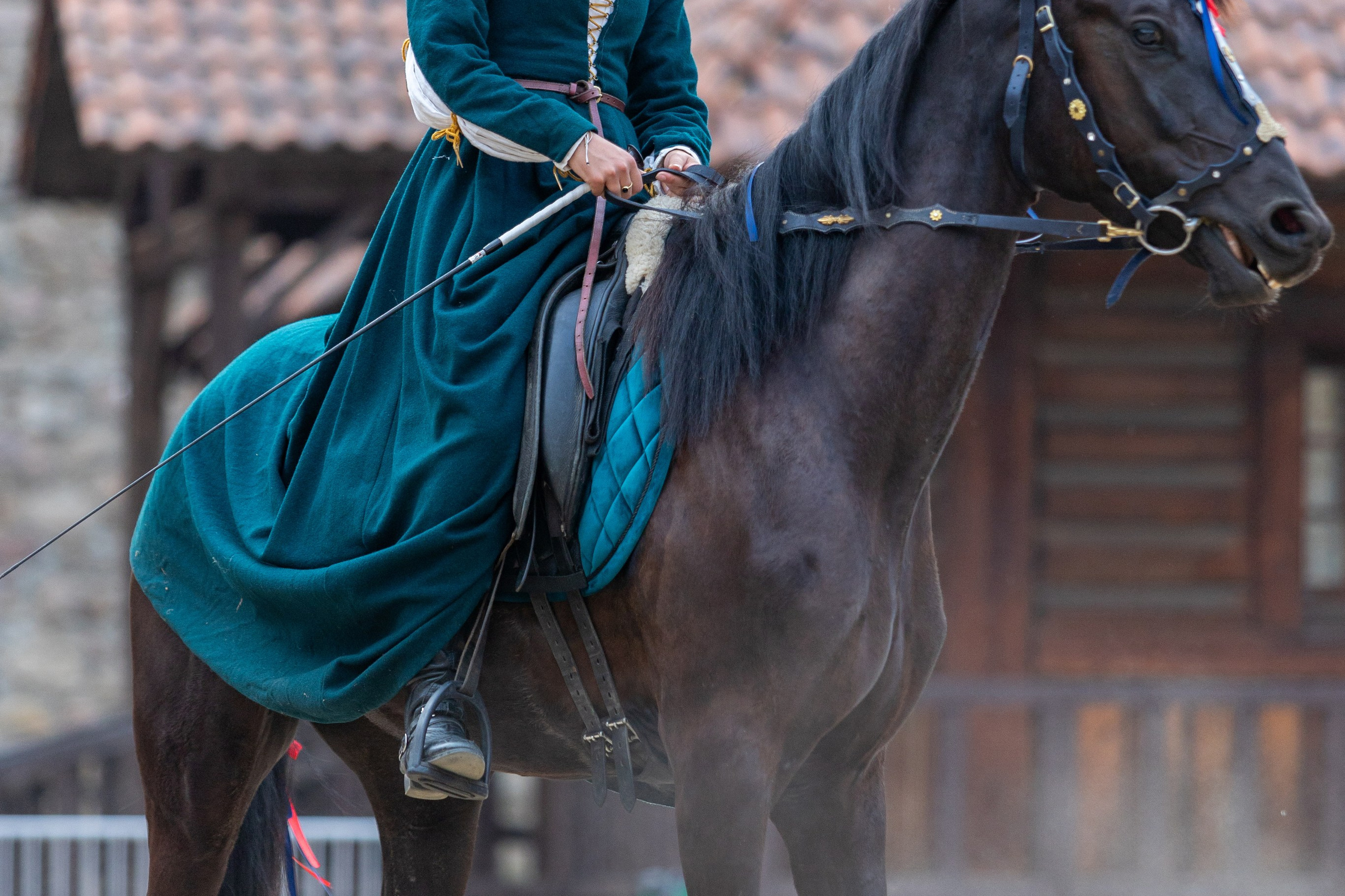 Выступление «Золотой шпоры» на празднике города Лиды. Профессиональный интерьерный и репортажный фотограф Минск и РБ. Максим Орлов