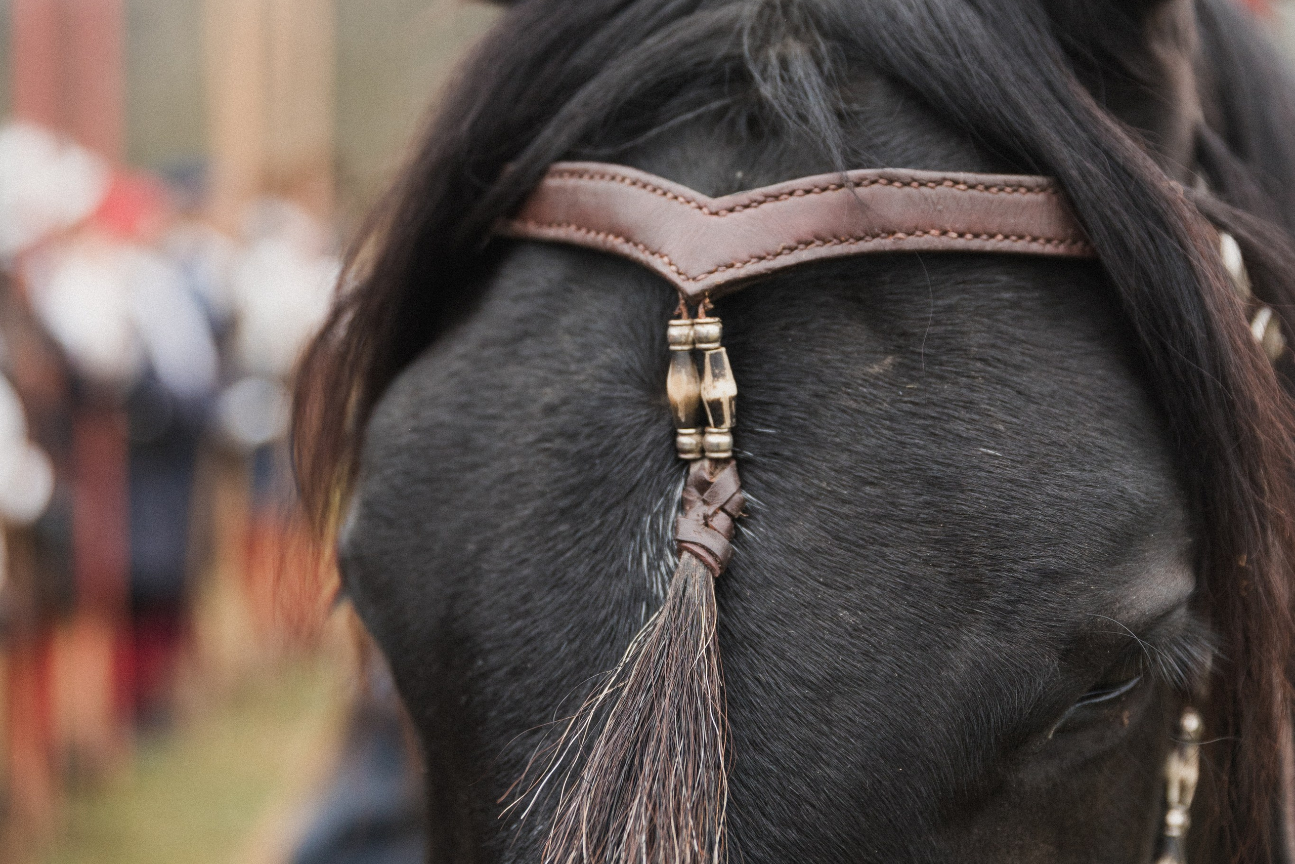 Маневры 17 века. Золотая шпора. Профессиональный интерьерный и репортажный фотограф Минск и РБ. Максим Орлов