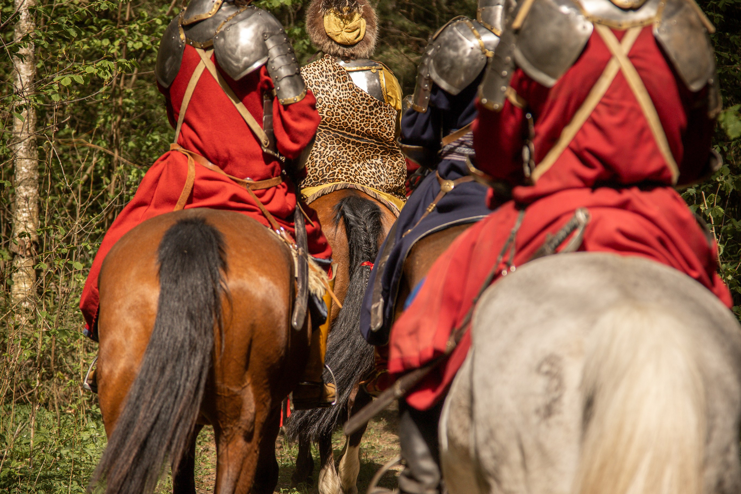 Золотая шпора. Огнем и мечем. День второй. Вылазка в лес. Штурм фортеции. Княжеский пир. Профессиональный интерьерный и репортажный фотограф Минск и РБ. Максим Орлов