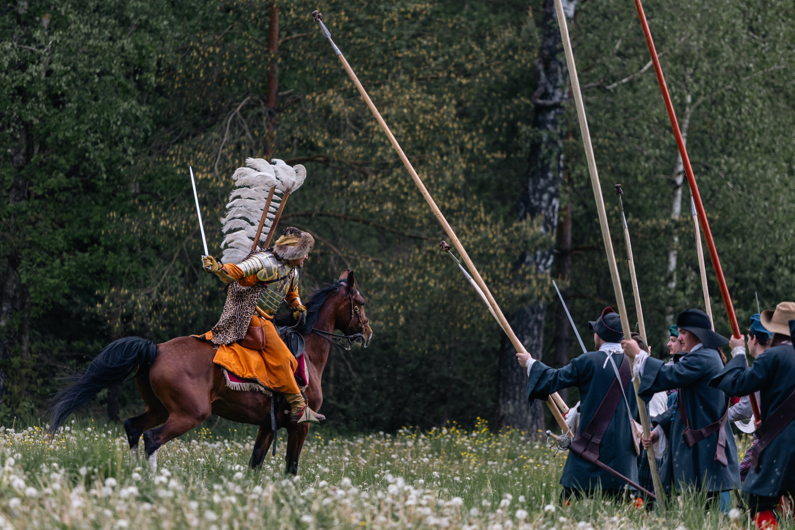 Золотая шпора. Маневры 17 века. Профессиональный интерьерный и репортажный фотограф Минск и РБ. Максим Орлов