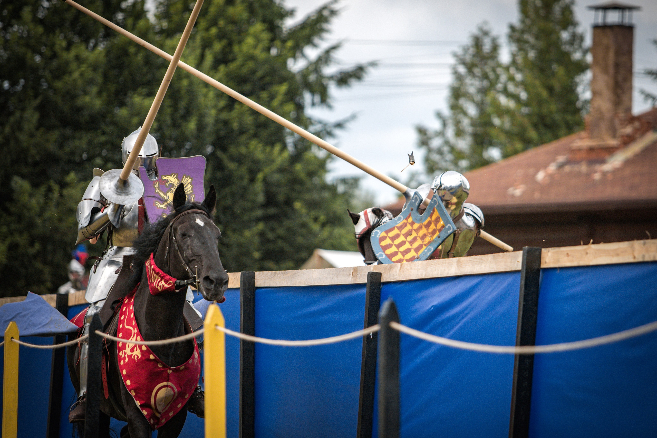 Наш Грюнвальд 2025. Рыцарский турнир. Профессиональный интерьерный и репортажный фотограф Минск и РБ. Максим Орлов