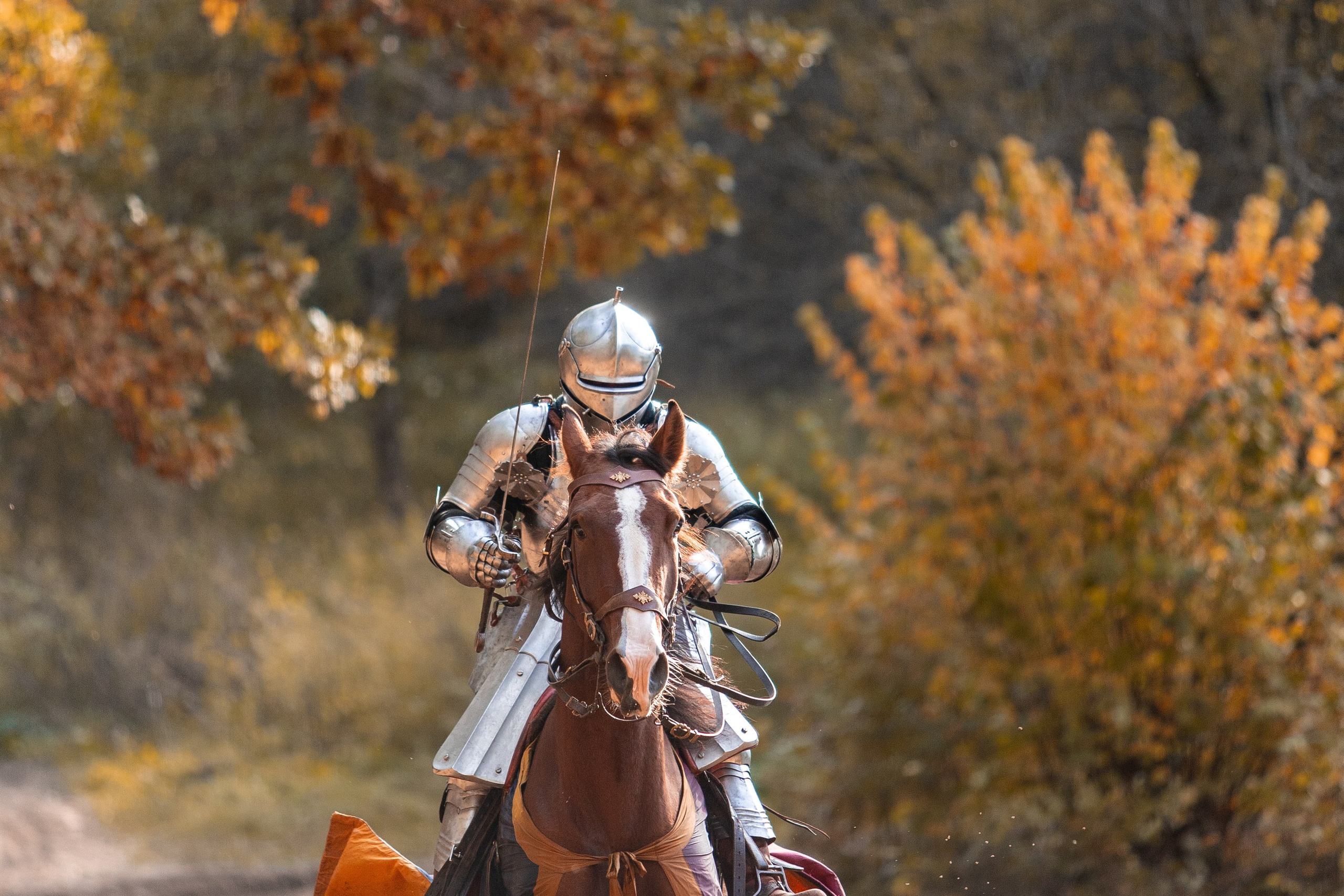 Рыцарская с Афиной. Дима Теслик. Профессиональный интерьерный и репортажный фотограф Минск и РБ. Максим Орлов