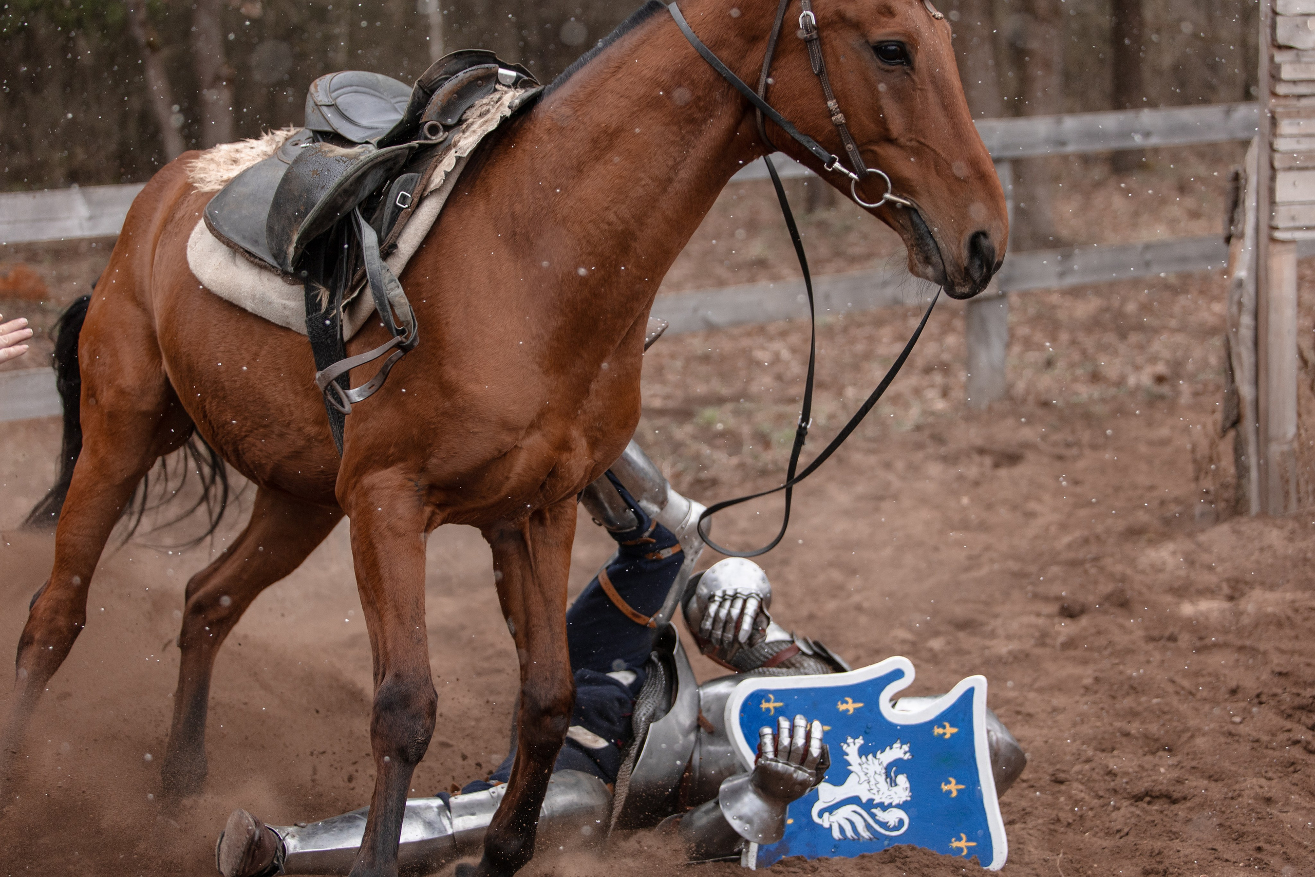 Турнир «Золотой шпоры». Профессиональный интерьерный и репортажный фотограф Минск и РБ. Максим Орлов