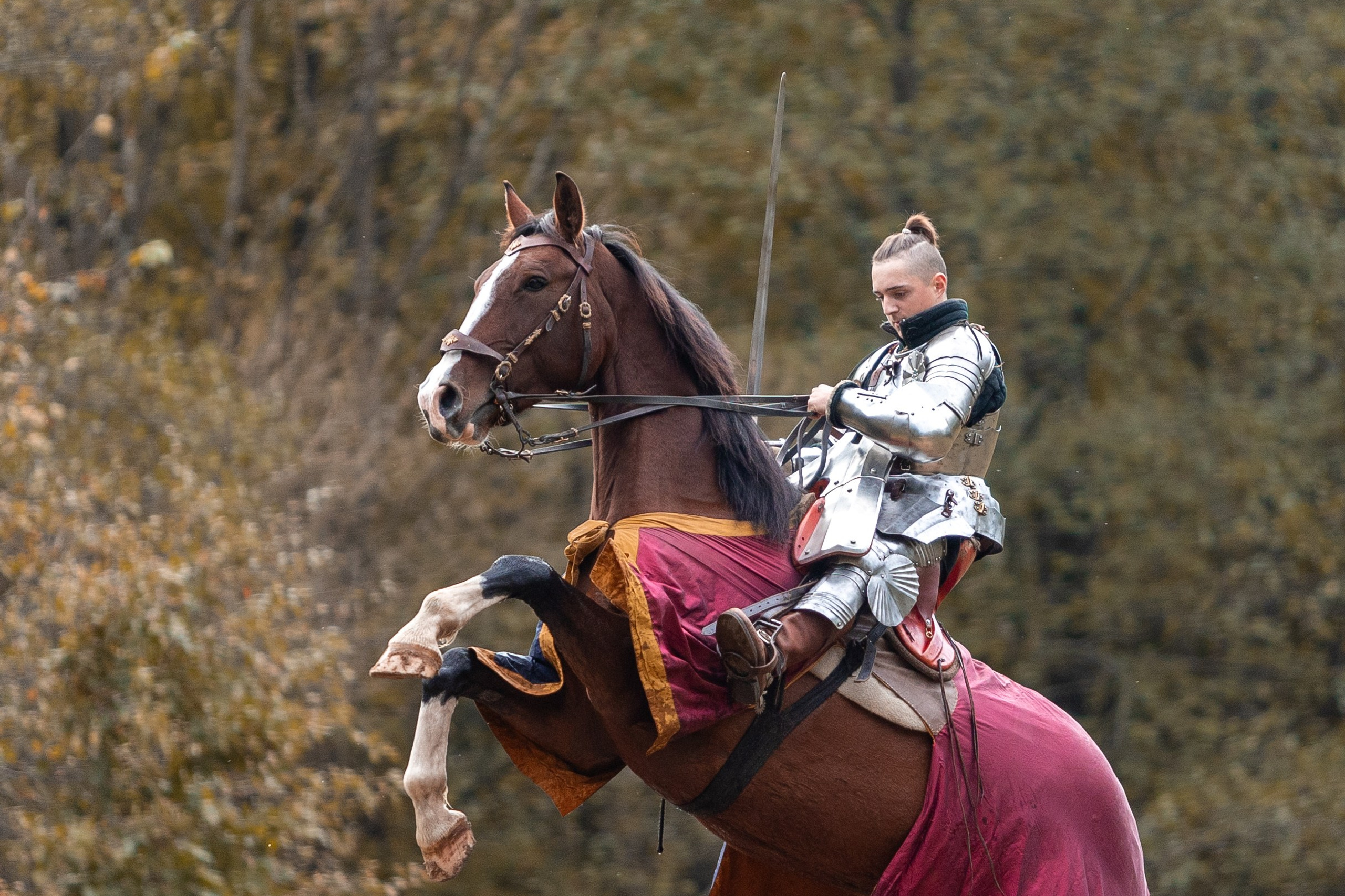Рыцарская с Афиной. Дима Теслик. Профессиональный интерьерный и репортажный фотограф Минск и РБ. Максим Орлов