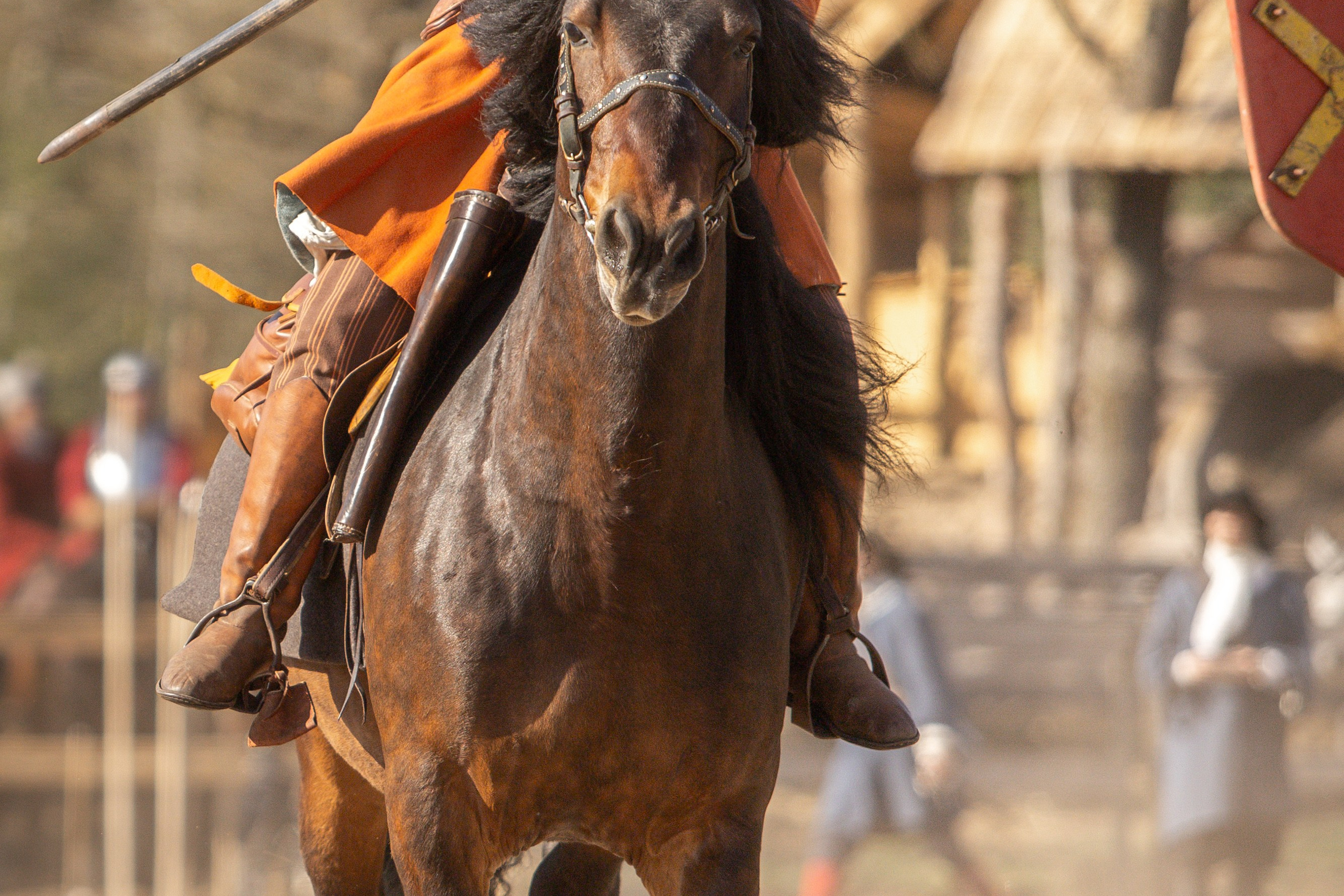 Золотая Шпора. Огнем и Мечем. День первый. Рыцарский турнир. Профессиональный интерьерный и репортажный фотограф Минск и РБ. Максим Орлов