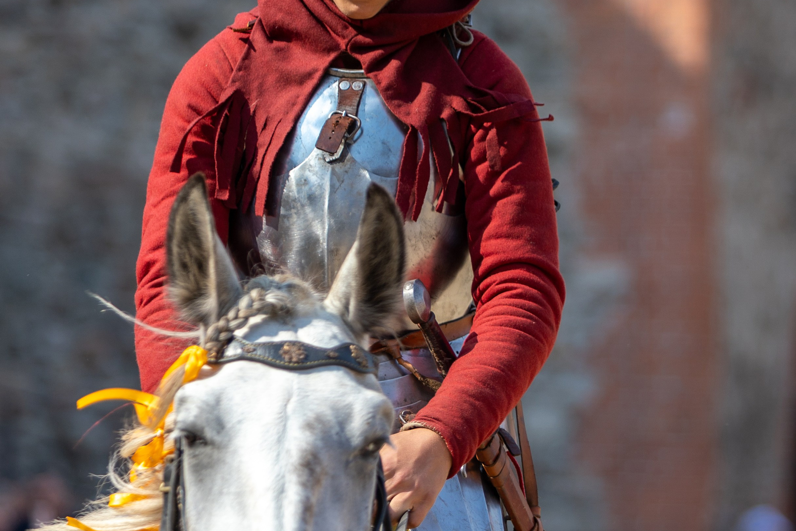 Выступление «Золотой шпоры» на празднике города Лиды. Профессиональный интерьерный и репортажный фотограф Минск и РБ. Максим Орлов