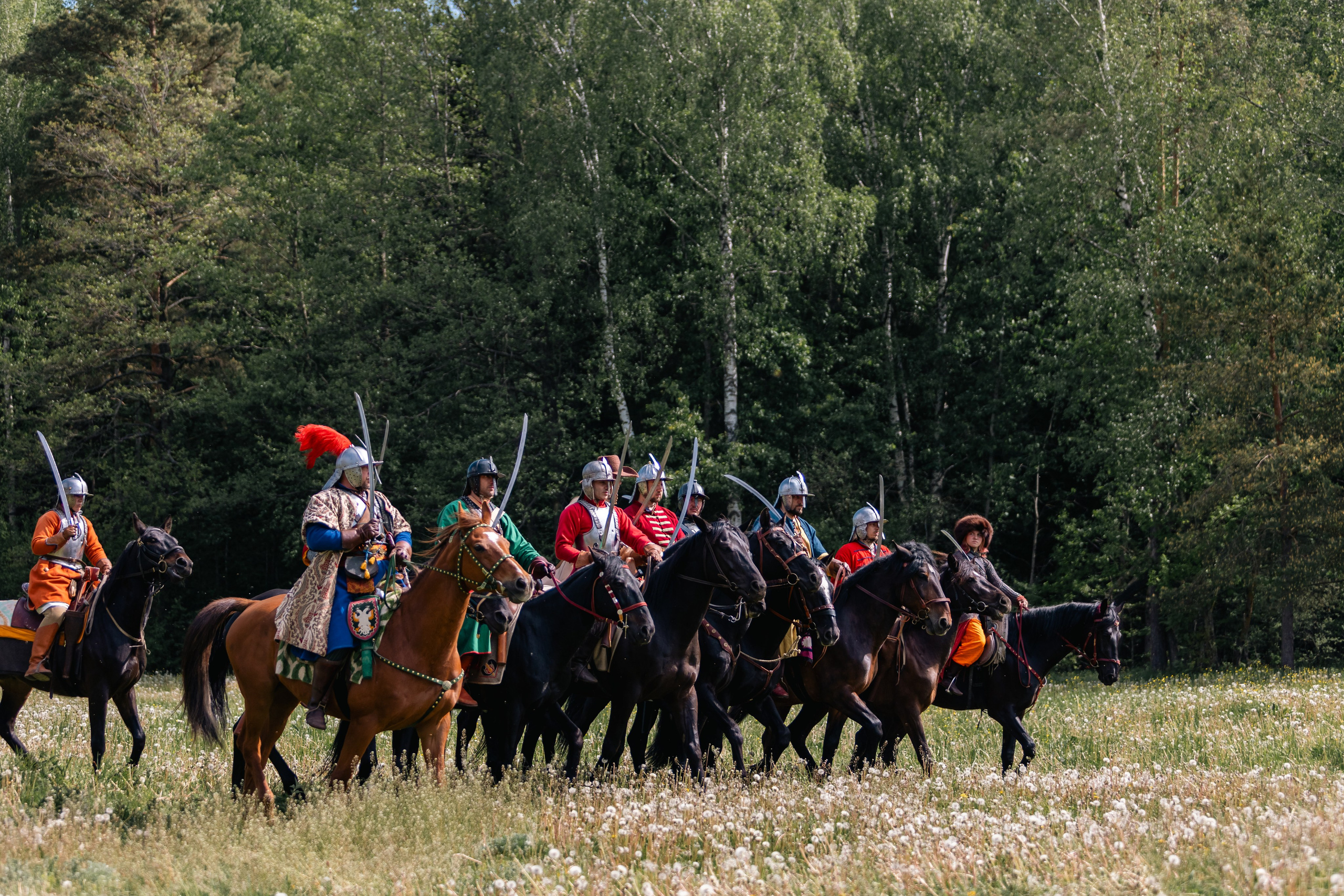 Золотая шпора. Маневры 17 века. Профессиональный интерьерный и репортажный фотограф Минск и РБ. Максим Орлов
