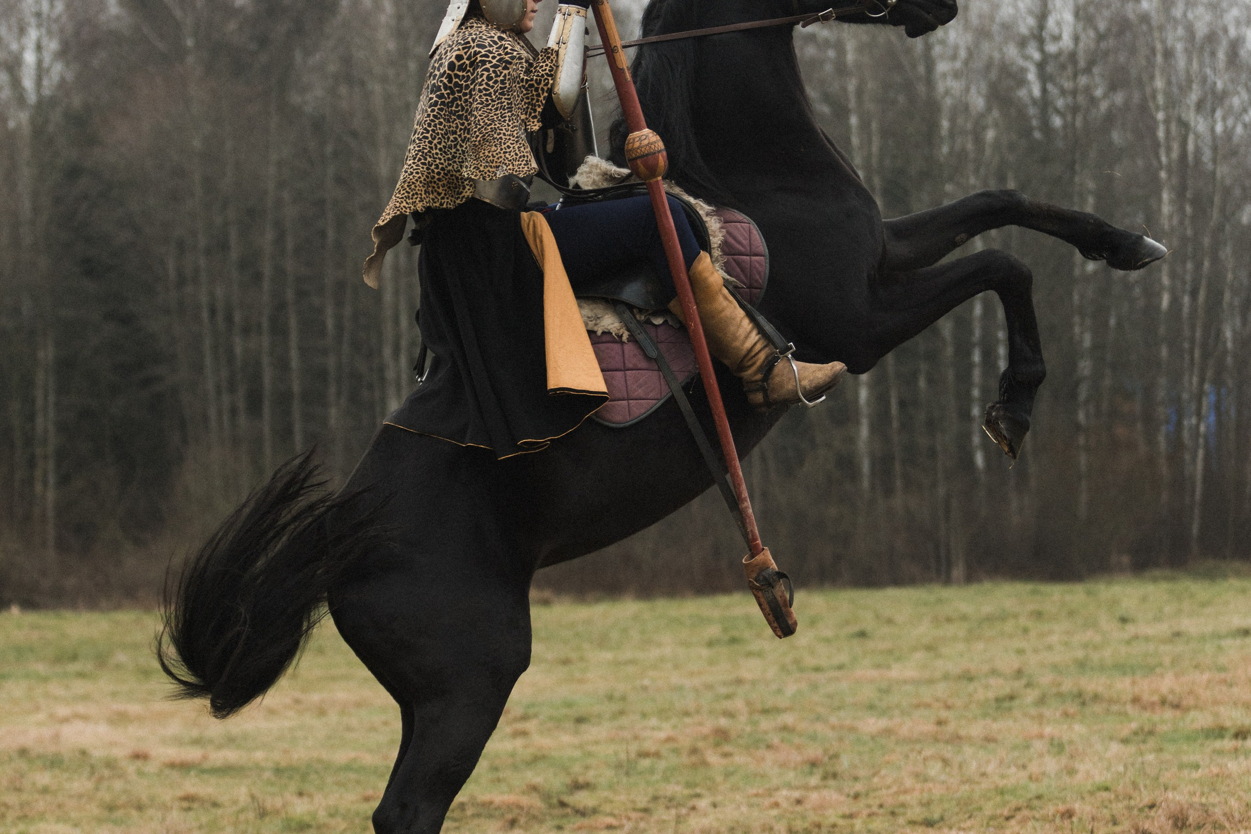 Маневры 17 века. Золотая шпора. Профессиональный интерьерный и репортажный фотограф Минск и РБ. Максим Орлов