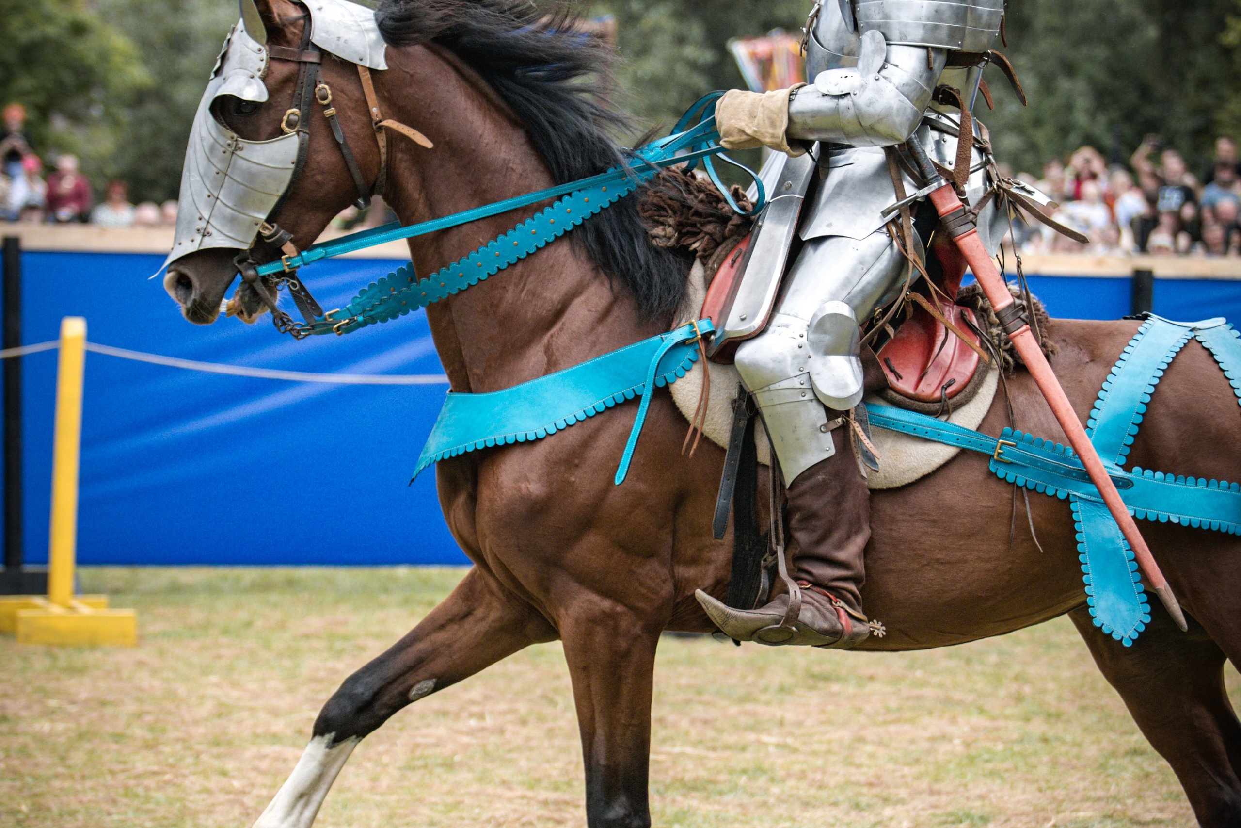 Наш Грюнвальд 2025. Рыцарский турнир. Профессиональный интерьерный и репортажный фотограф Минск и РБ. Максим Орлов