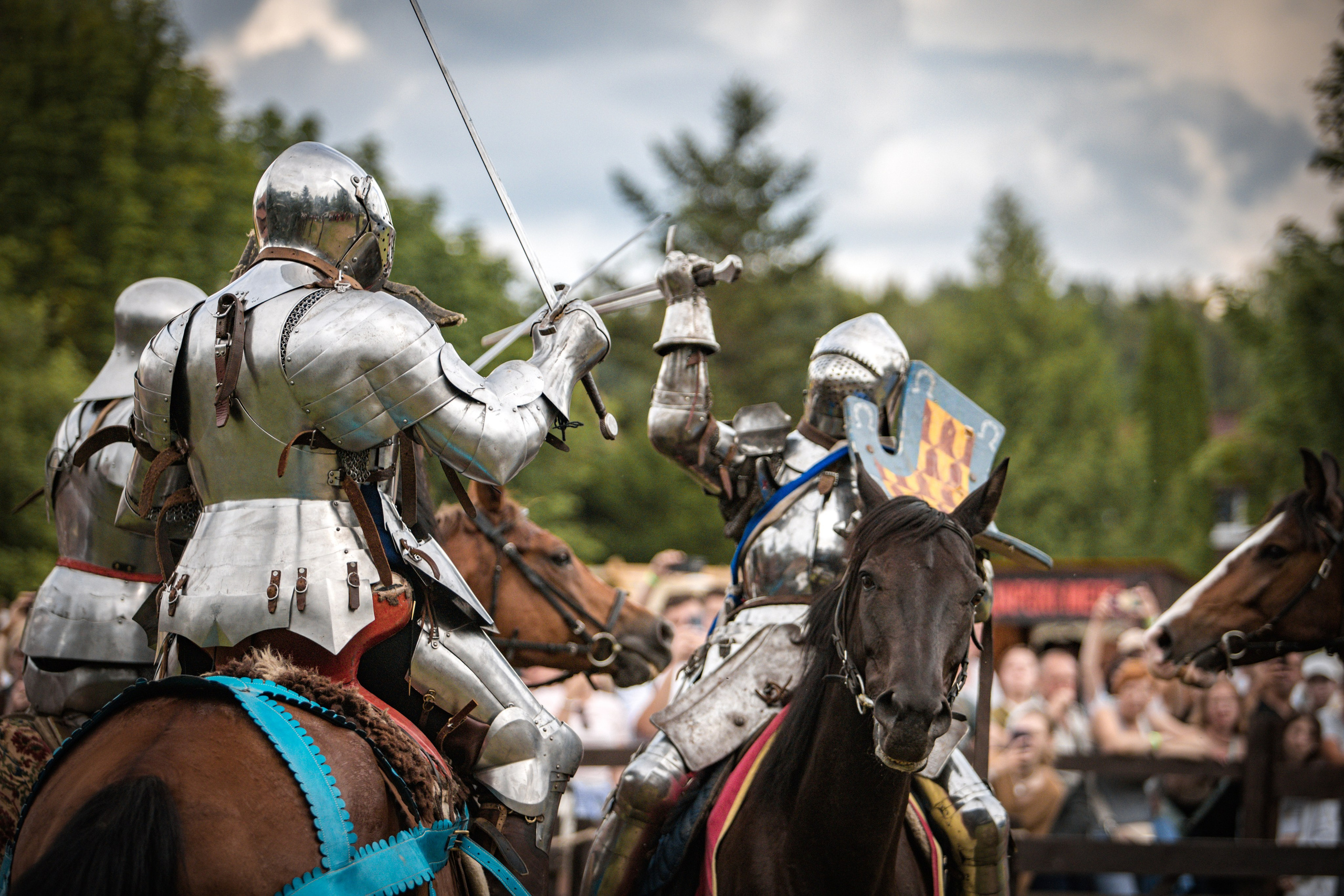 Наш Грюнвальд 2025. Рыцарский турнир. Профессиональный интерьерный и репортажный фотограф Минск и РБ. Максим Орлов