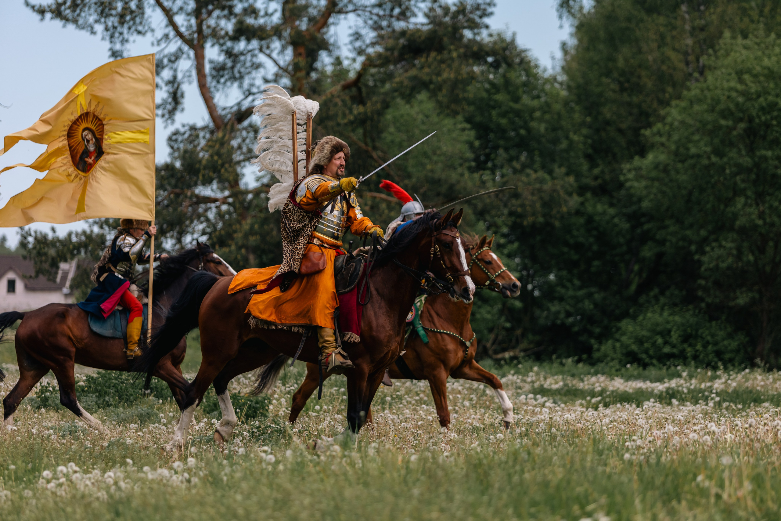 Золотая шпора. Маневры 17 века. Профессиональный интерьерный и репортажный фотограф Минск и РБ. Максим Орлов