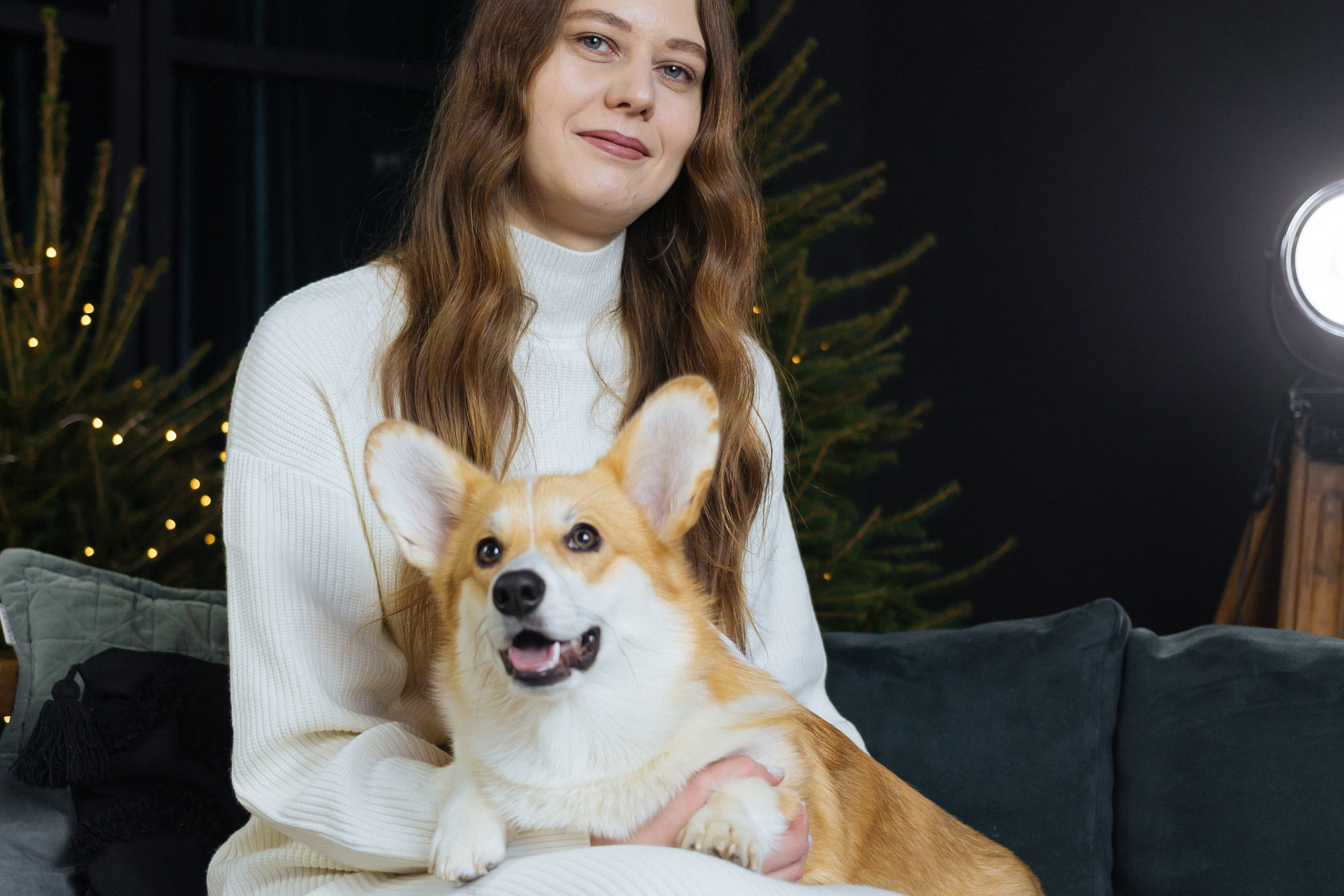 Елена и Володя (новогодняя). Профессиональный интерьерный и репортажный фотограф Минск и РБ. Максим Орлов