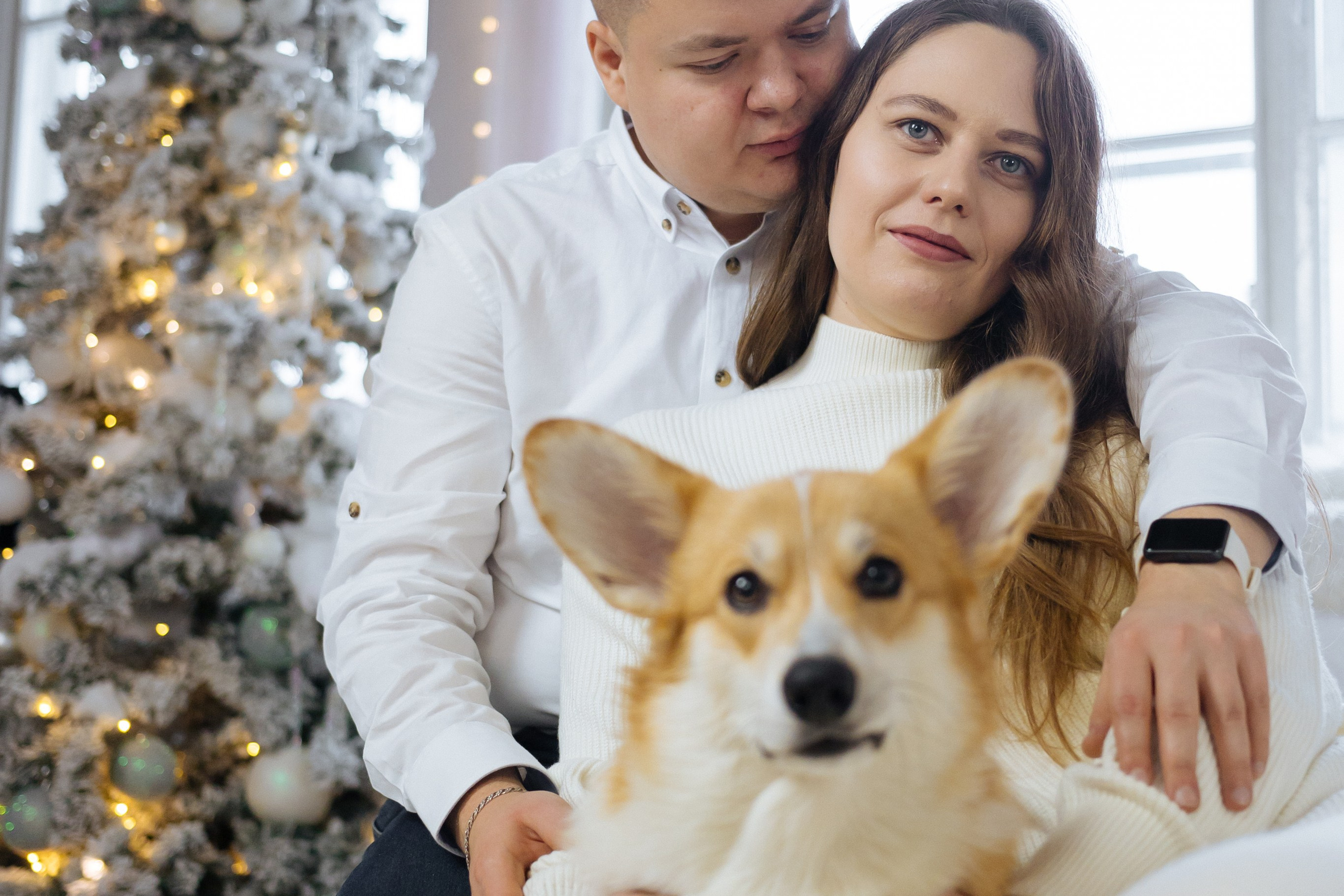 Елена и Володя (новогодняя). Профессиональный интерьерный и репортажный фотограф Минск и РБ. Максим Орлов
