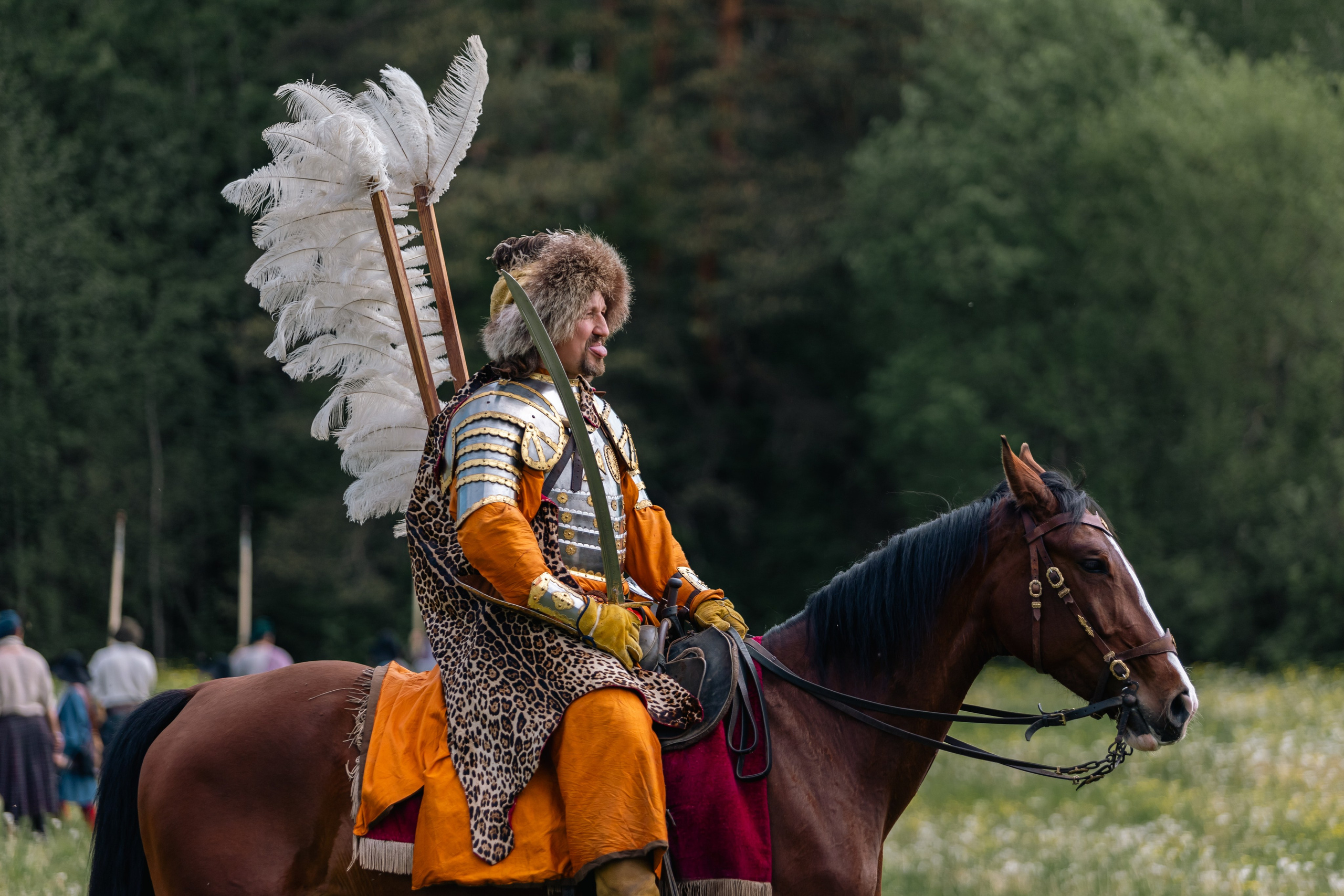 Золотая шпора. Маневры 17 века. Профессиональный интерьерный и репортажный фотограф Минск и РБ. Максим Орлов