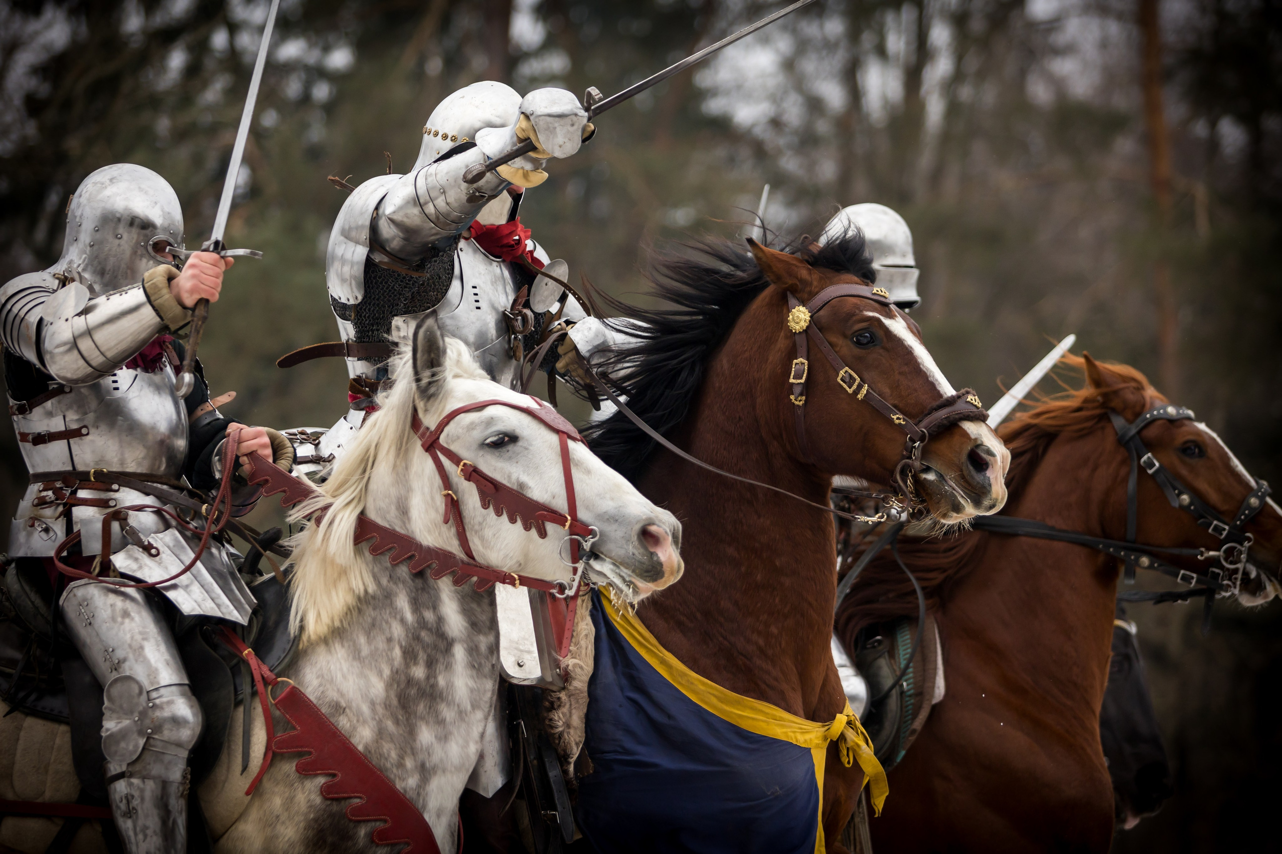 Зимние маневры «Золотой шпоры». 2025. Профессиональный интерьерный и репортажный фотограф Минск и РБ. Максим Орлов
