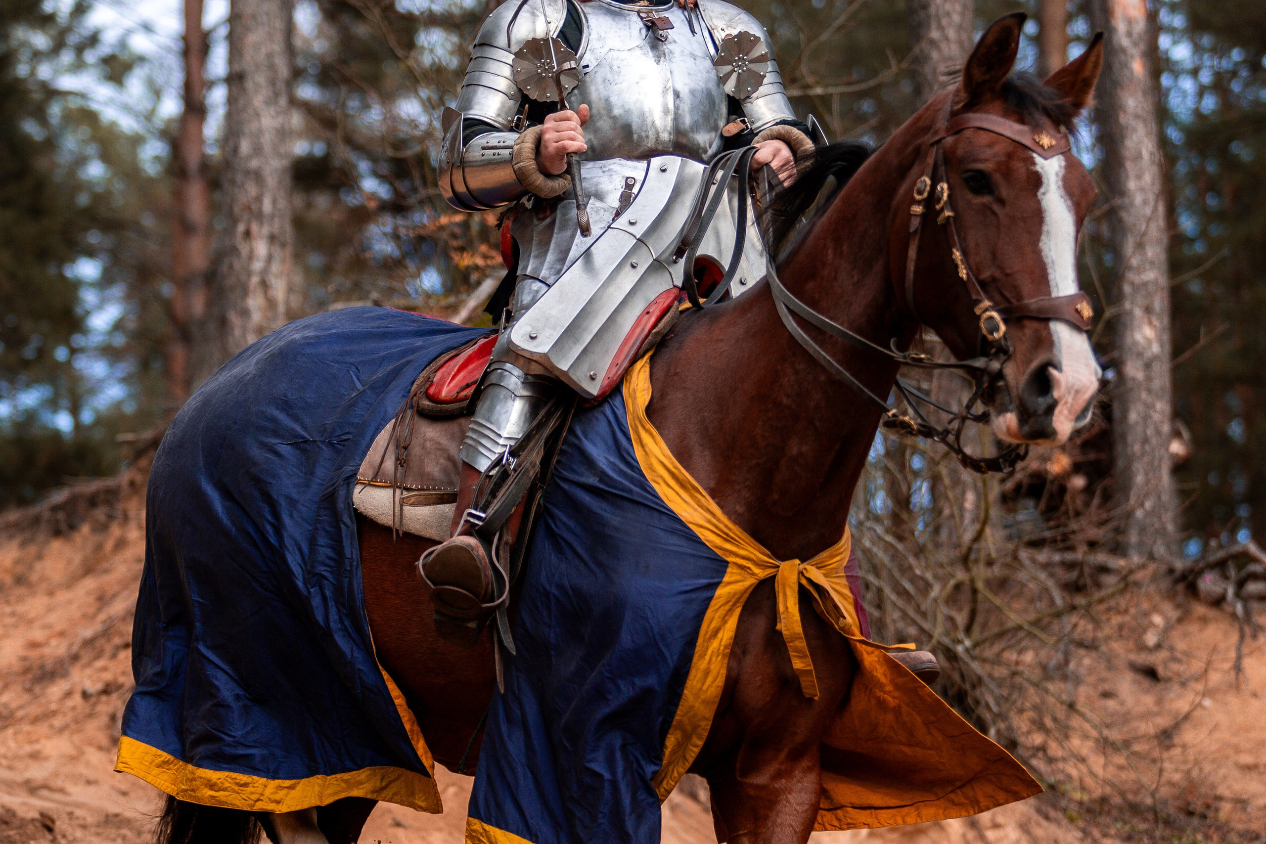 Рыцарская с Афиной. Дима Теслик. Профессиональный интерьерный и репортажный фотограф Минск и РБ. Максим Орлов