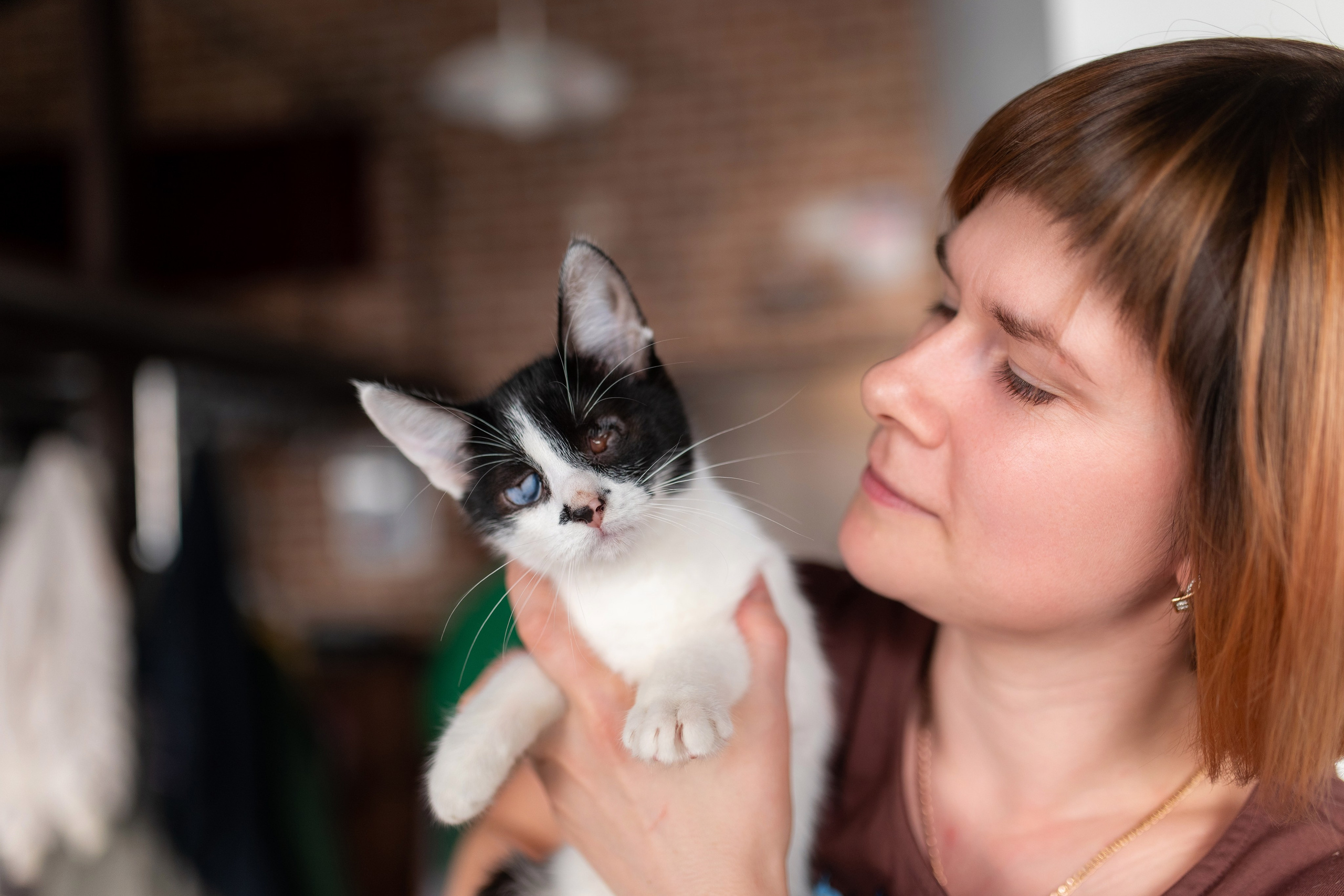 Котики для Old Cat. Профессиональный интерьерный и репортажный фотограф Минск и РБ. Максим Орлов
