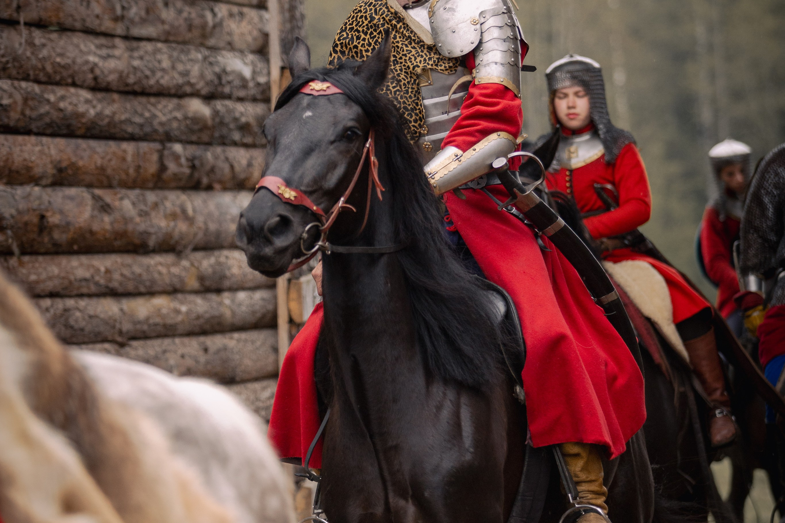 Золотая шпора. Огнем и мечем. День третий. Бой на поле. Профессиональный интерьерный и репортажный фотограф Минск и РБ. Максим Орлов